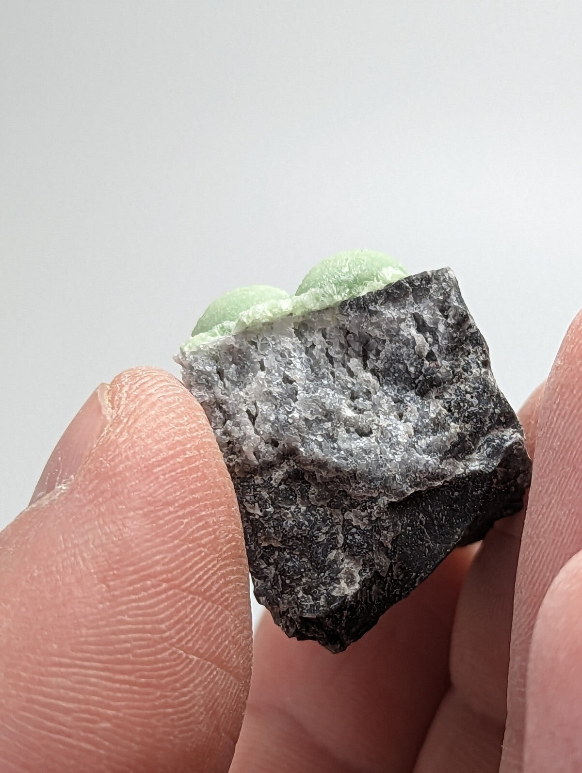 A dark, rough-textured rock with a grayish-white mineral coating and two small green spherical inclusions on top.