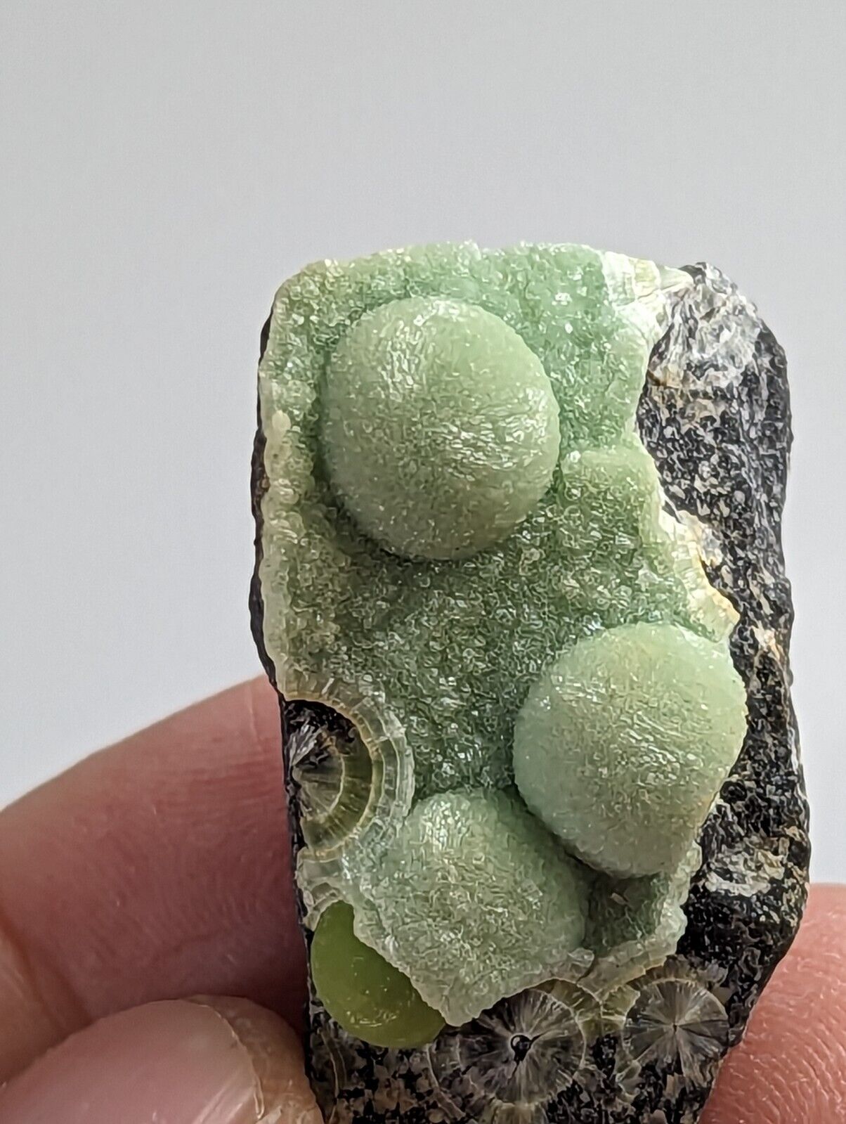 Wavellite - Fantastic 1990s Old Stock - Mauldin Mountain Arkansas - Collectibles:Rocks Fossils & Minerals:Crystals