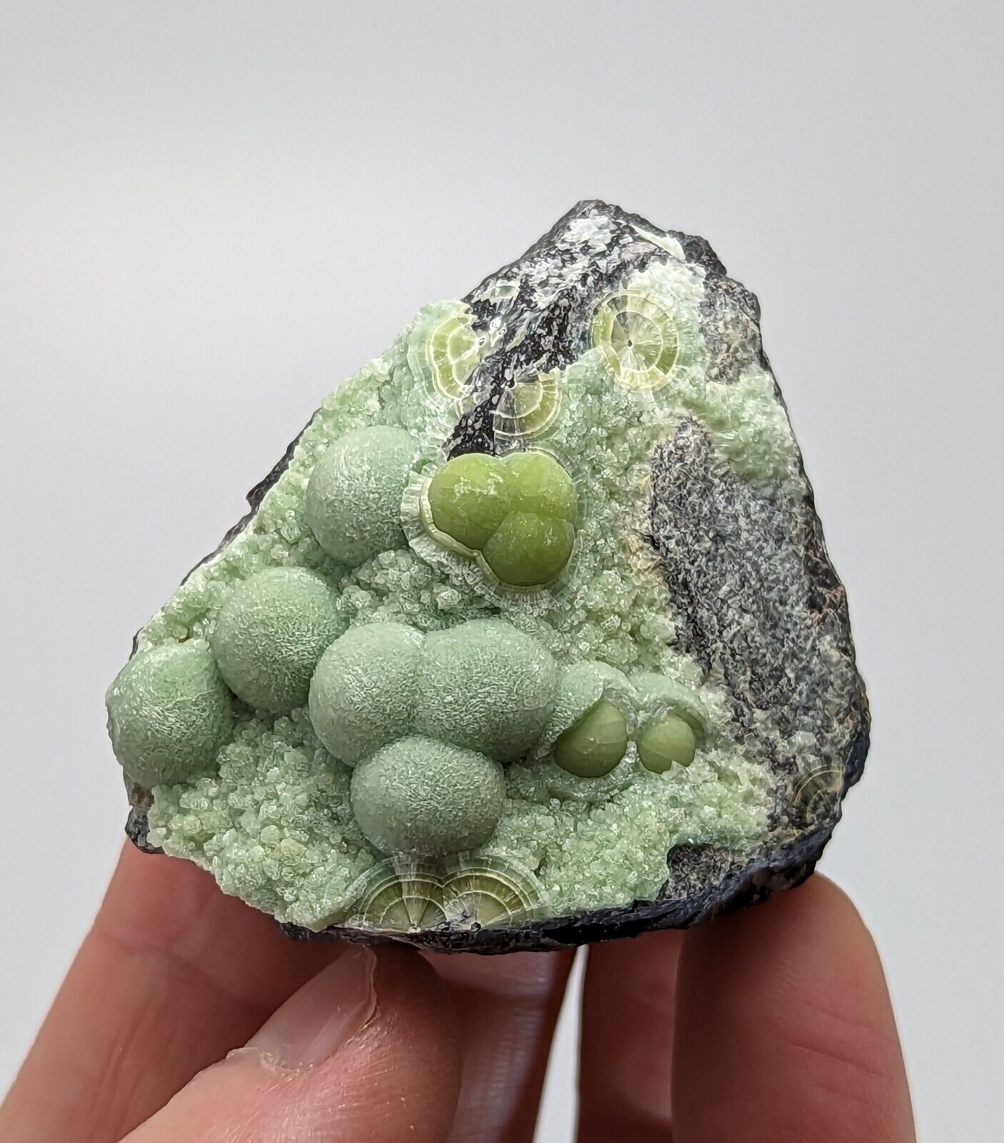 Wavellite - Fantastic 1990s Old Stock - Mauldin Mountain Arkansas - Collectibles:Rocks Fossils & Minerals:Crystals