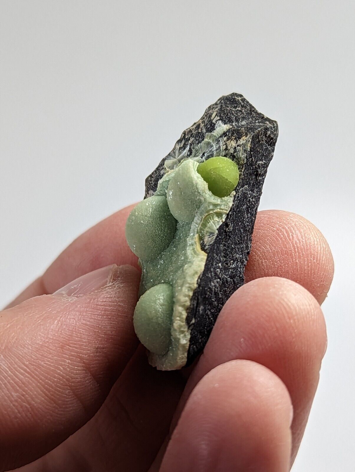 Wavellite - Fantastic 1990s Old Stock - Mauldin Mountain Arkansas - Collectibles:Rocks Fossils & Minerals:Crystals