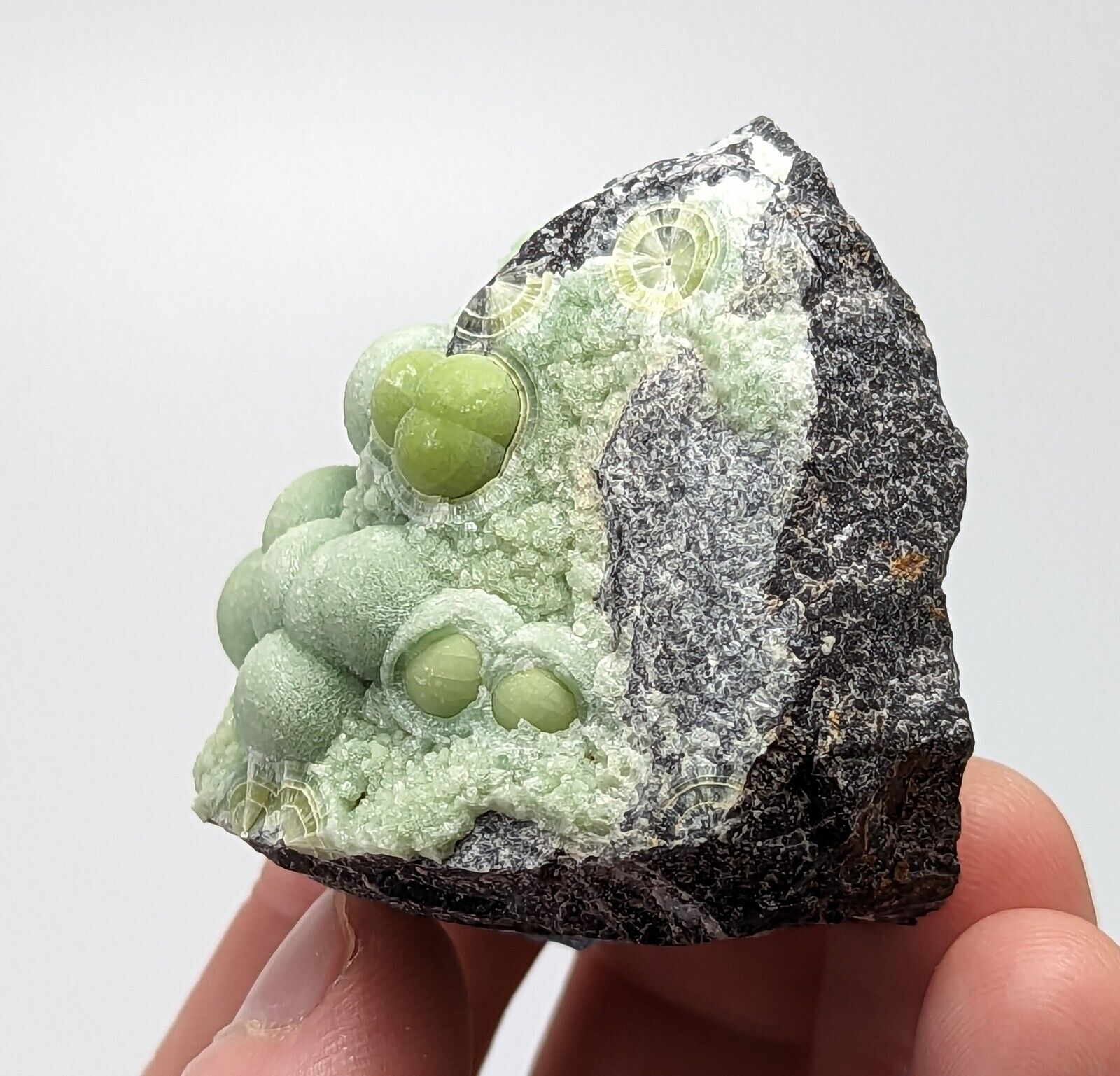 Wavellite - Fantastic 1990s Old Stock - Mauldin Mountain Arkansas - Collectibles:Rocks Fossils & Minerals:Crystals