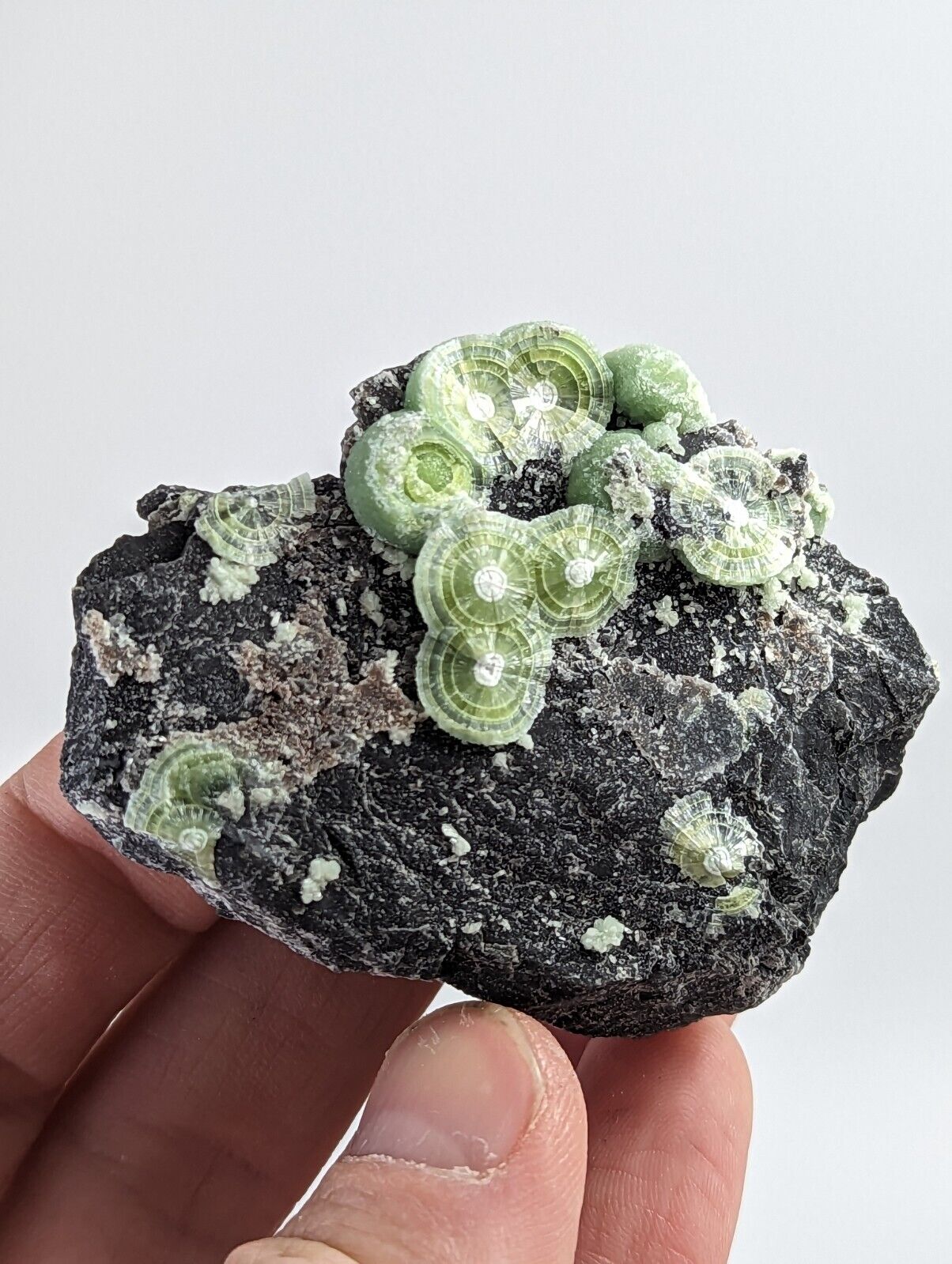 Wavellite - Fantastic 1990s Old Stock - Mauldin Mountain Arkansas - Collectibles:Rocks Fossils & Minerals:Crystals