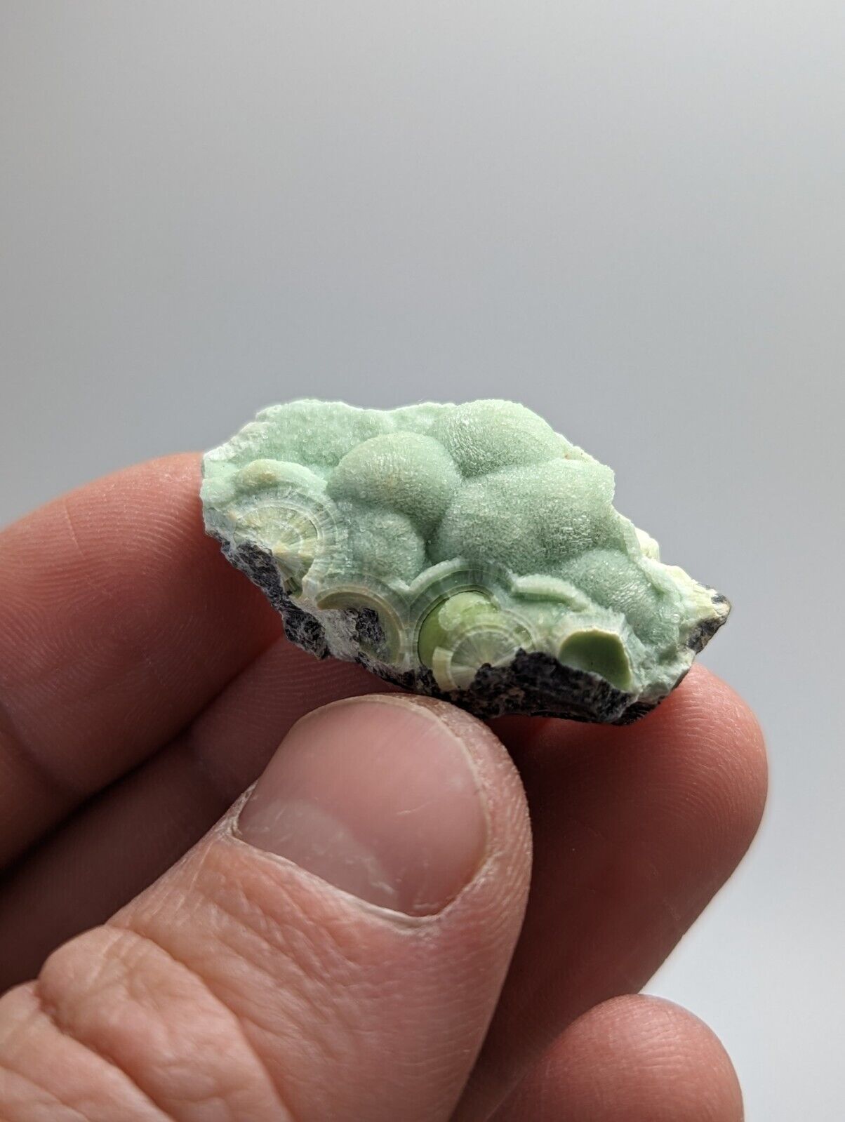 Wavellite - Fantastic 1990s Old Stock - Mauldin Mountain Arkansas - Collectibles:Rocks Fossils & Minerals:Crystals