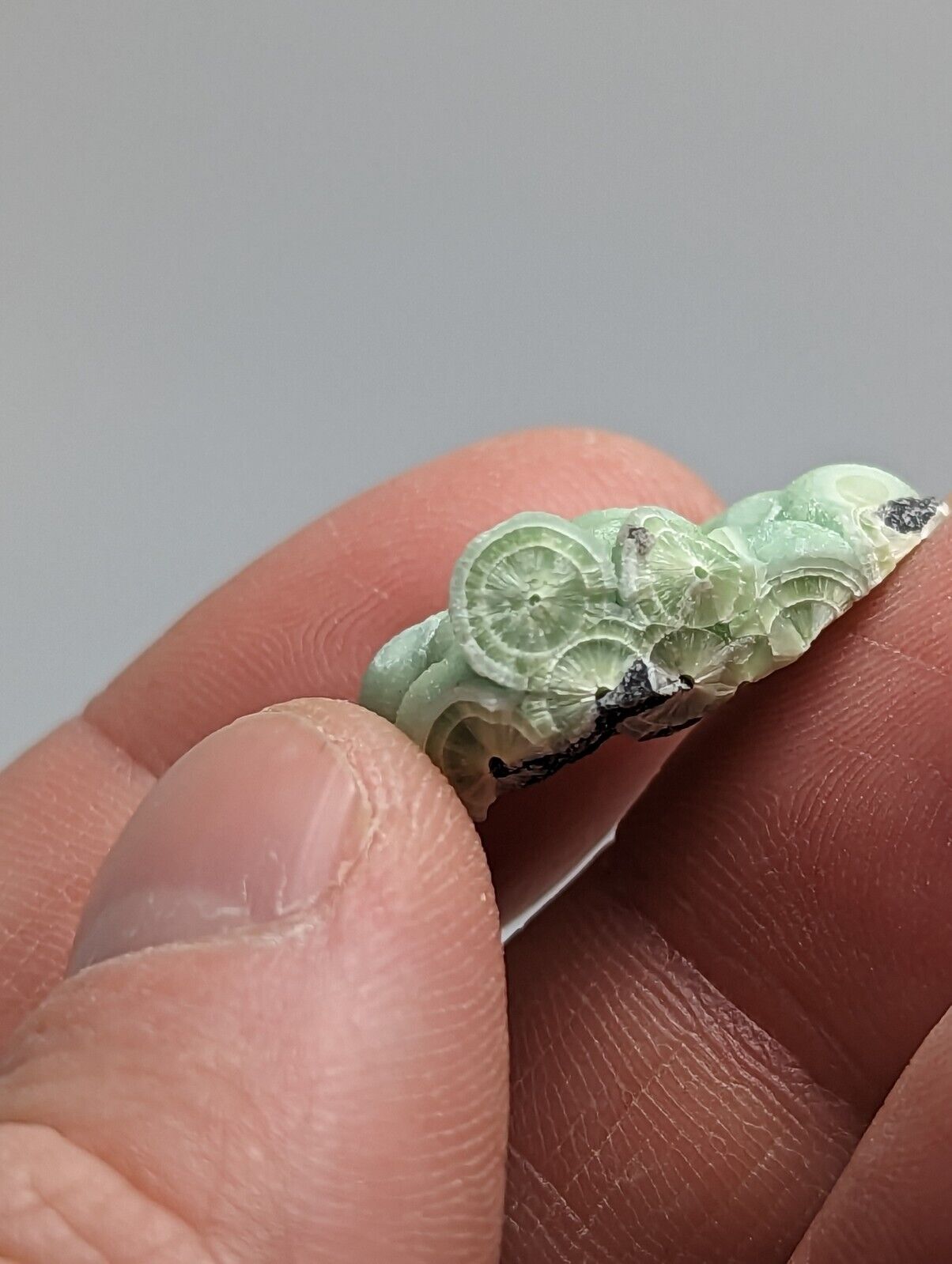 Wavellite - Fantastic 1990s Old Stock - Mauldin Mountain Arkansas - Collectibles:Rocks Fossils & Minerals:Crystals