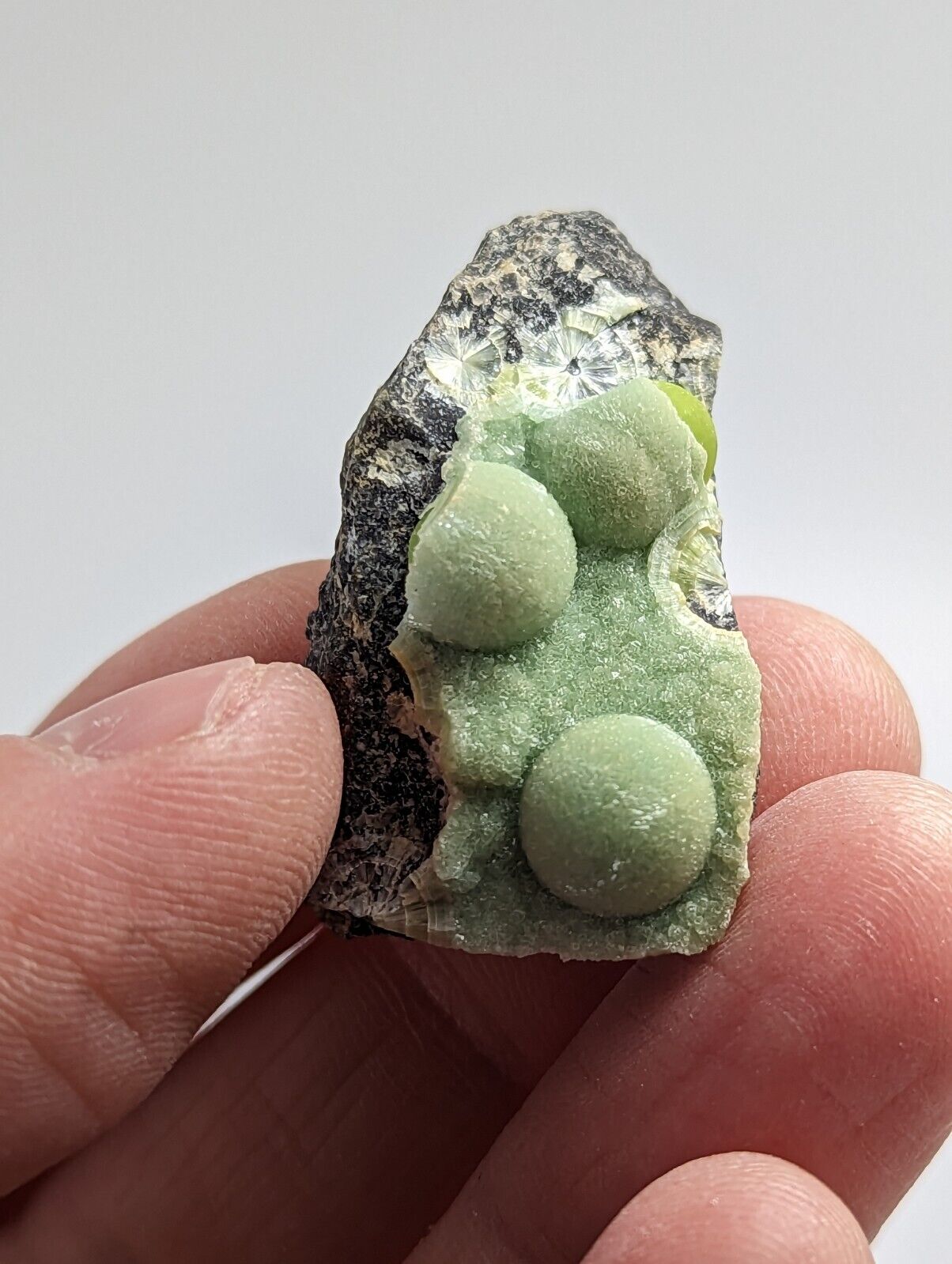 Wavellite - Fantastic 1990s Old Stock - Mauldin Mountain Arkansas - Collectibles:Rocks Fossils & Minerals:Crystals
