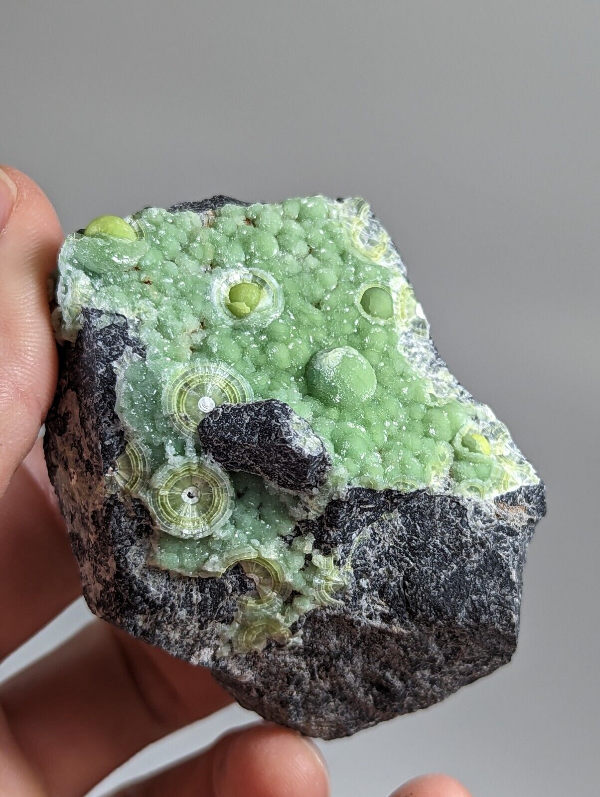 Wavellite - Fantastic 1990s Old Stock - Mauldin Mountain Arkansas - Collectibles:Rocks Fossils & Minerals:Crystals