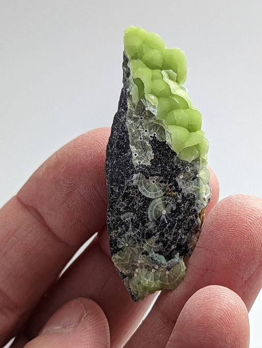 Wavellite - Fantastic 1990s Old Stock - Mauldin Mountain Arkansas - Collectibles:Rocks Fossils & Minerals:Crystals