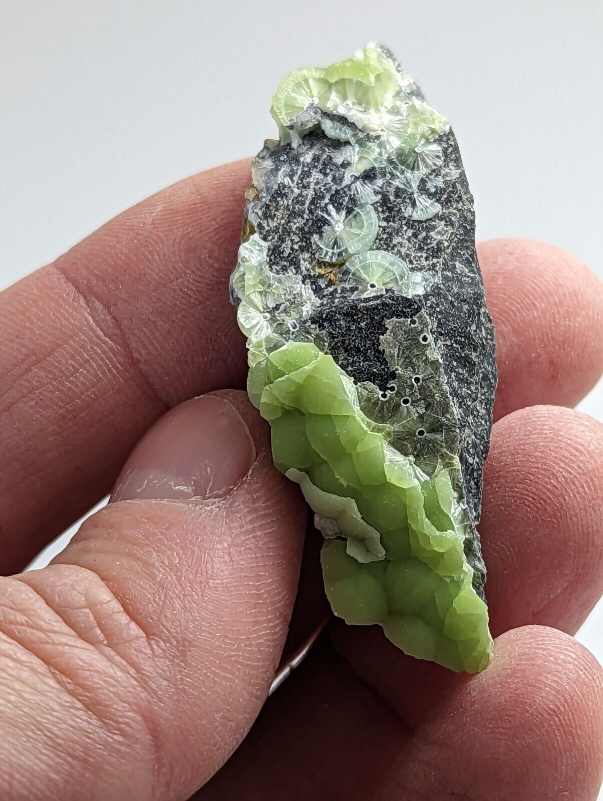 Wavellite - Fantastic 1990s Old Stock - Mauldin Mountain Arkansas - Collectibles:Rocks Fossils & Minerals:Crystals