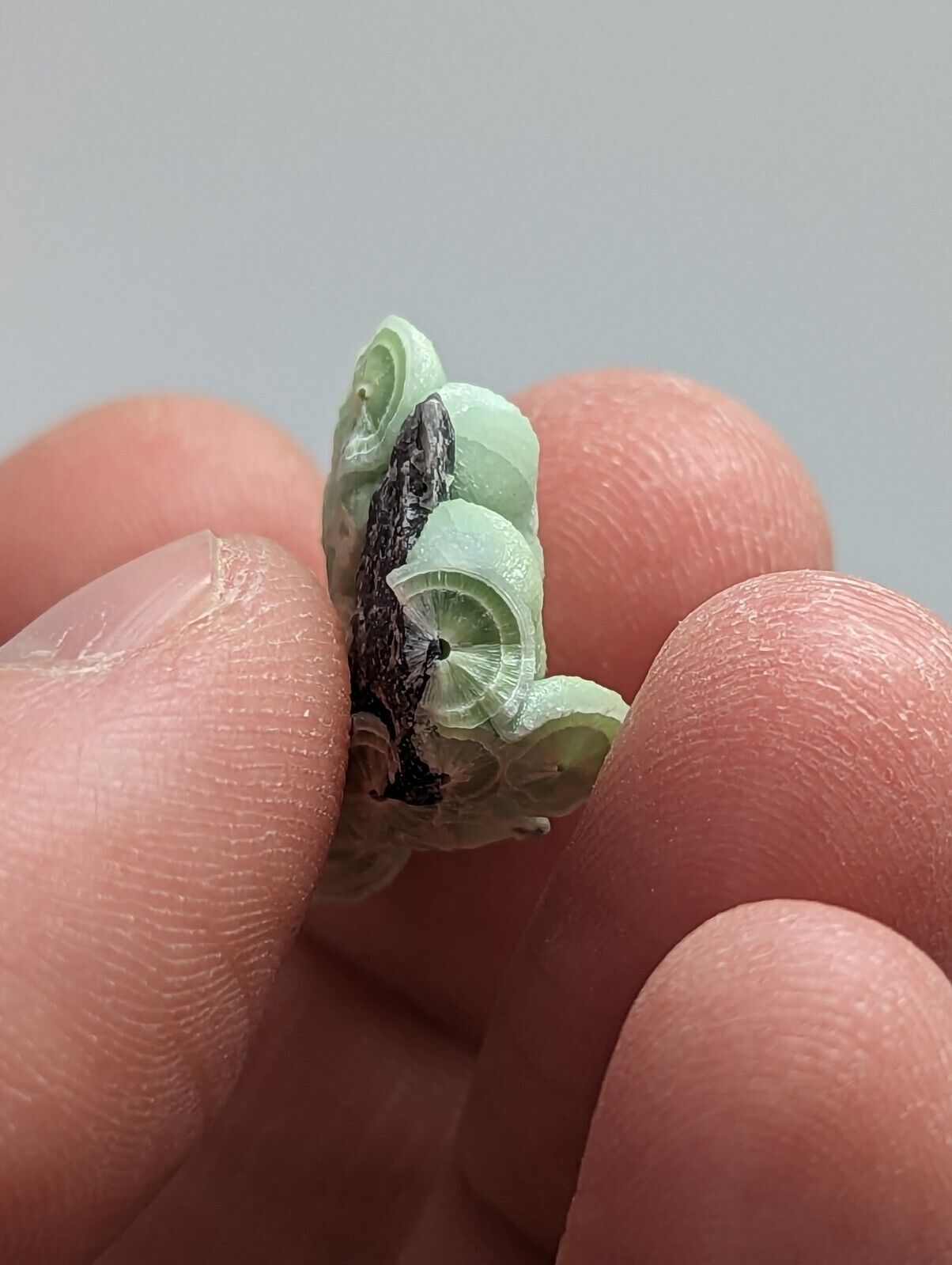 Wavellite - Fantastic 1990s Old Stock - Mauldin Mountain Arkansas - Collectibles:Rocks Fossils & Minerals:Crystals