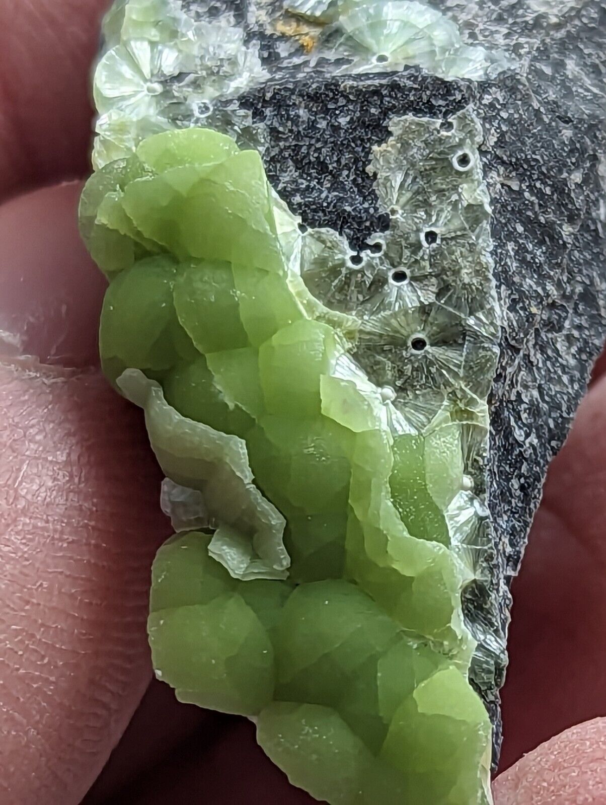 Wavellite - Fantastic 1990s Old Stock - Mauldin Mountain Arkansas - Collectibles:Rocks Fossils & Minerals:Crystals