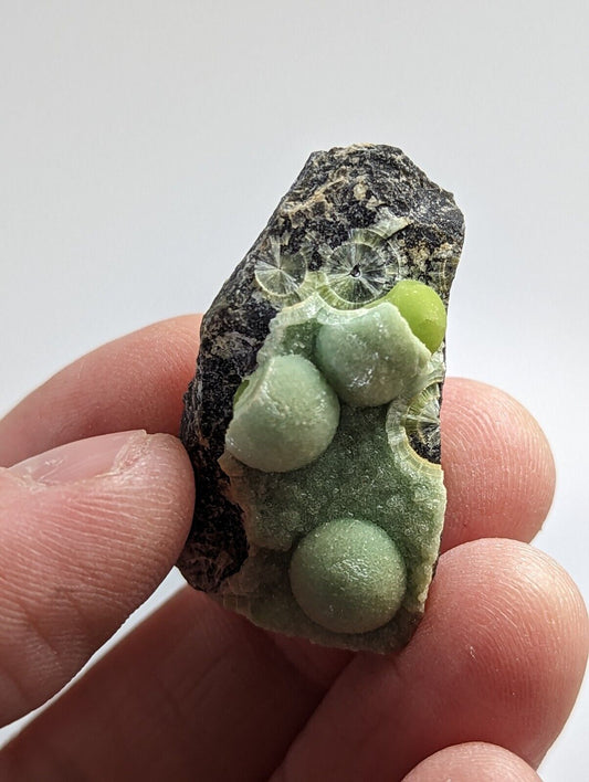 Wavellite - Fantastic 1990s Old Stock - Mauldin Mountain Arkansas - Collectibles:Rocks Fossils & Minerals:Crystals