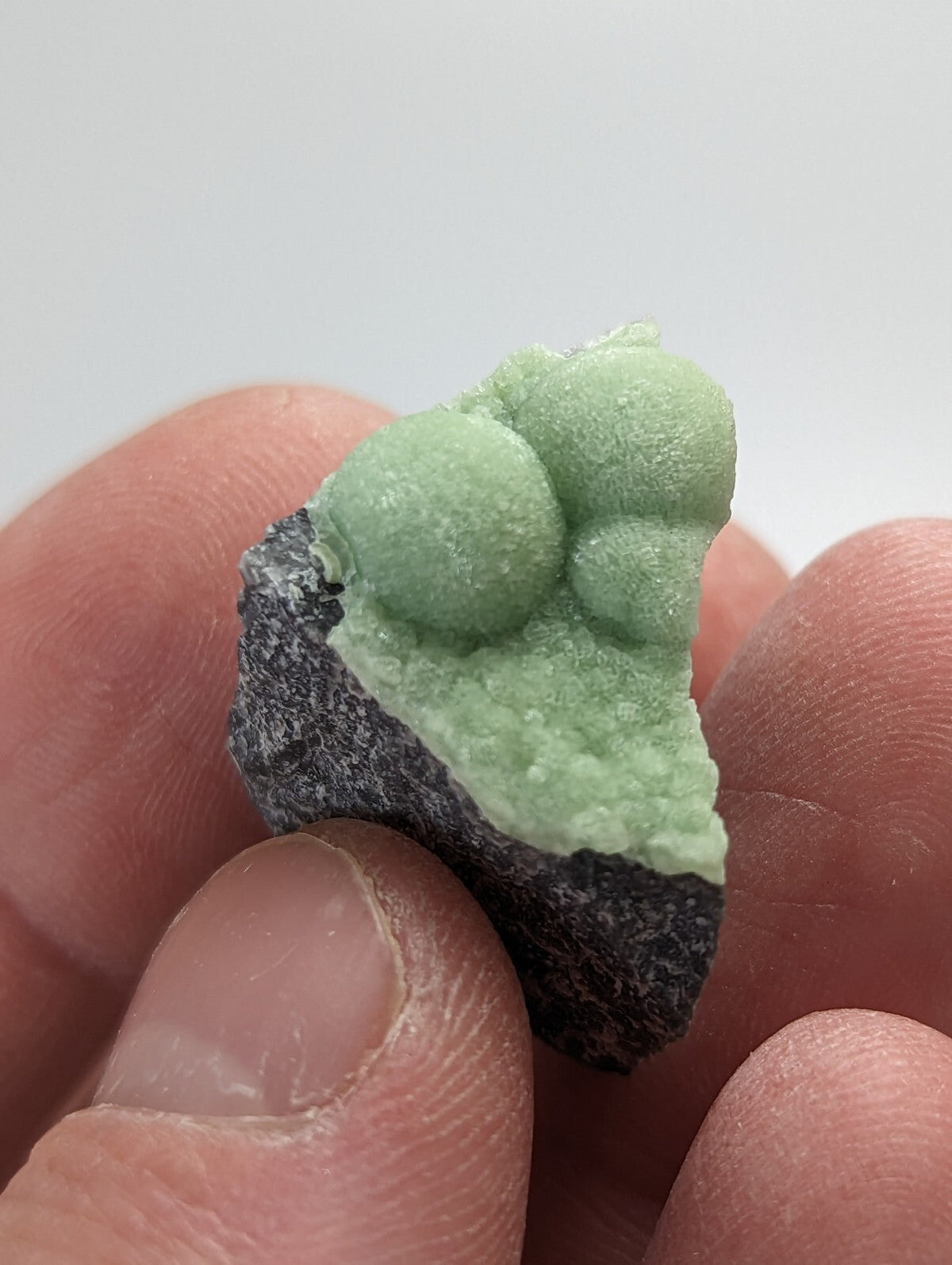 A delicate light green mineral specimen with rounded, bubble-like formations growing from a dark gray rock base.