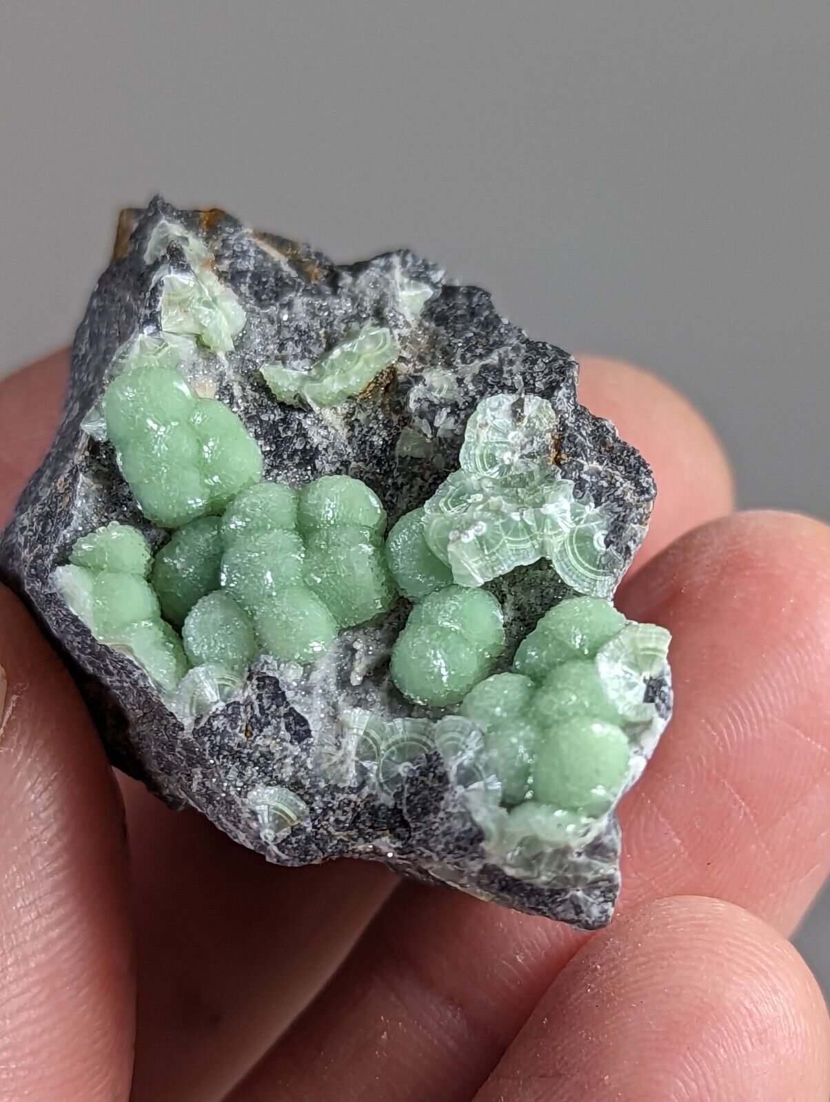 Wavellite - Fantastic 1990s Old Stock - Mauldin Mountain Arkansas - Collectibles:Rocks Fossils & Minerals:Crystals