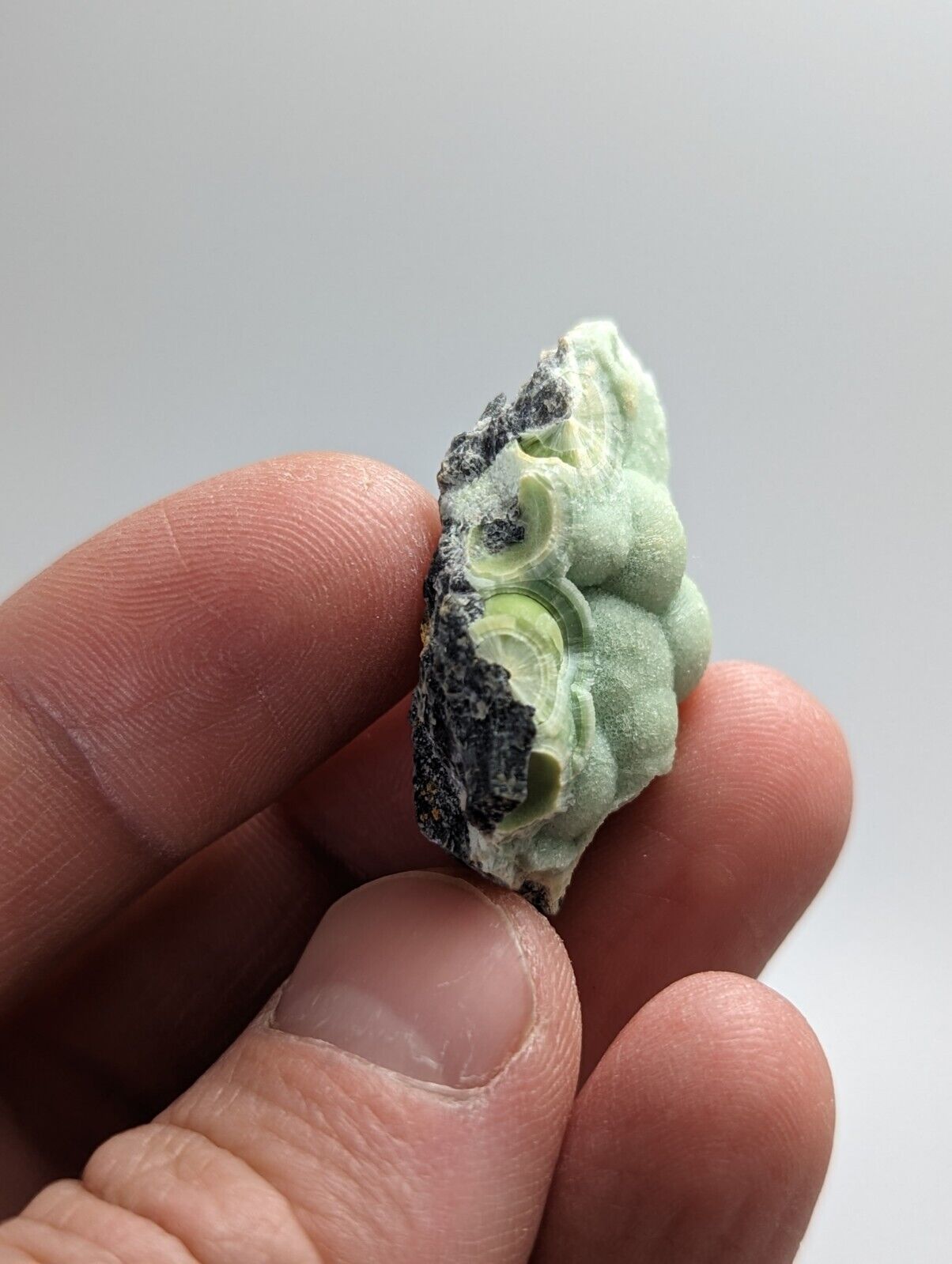 Wavellite - Fantastic 1990s Old Stock - Mauldin Mountain Arkansas - Collectibles:Rocks Fossils & Minerals:Crystals