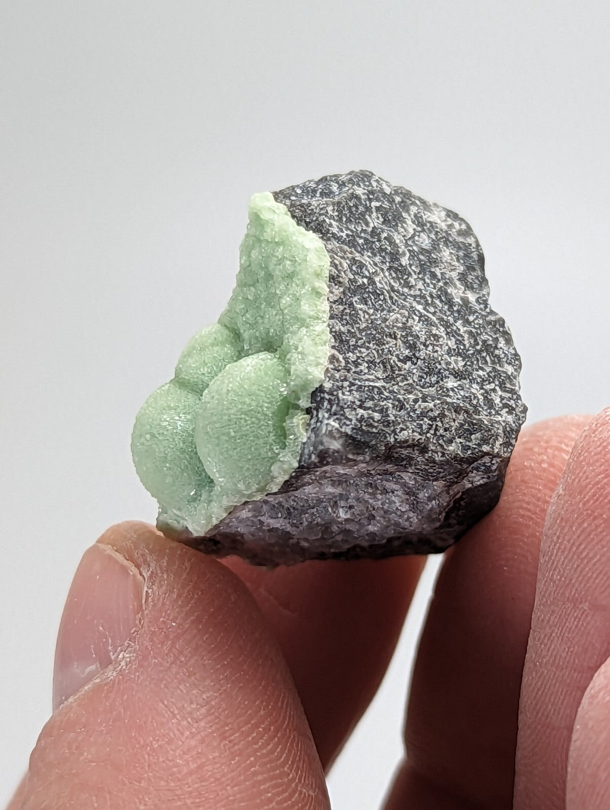A hand holds a dark gray rock with a cluster of light green, rounded mineral formations growing from its surface.