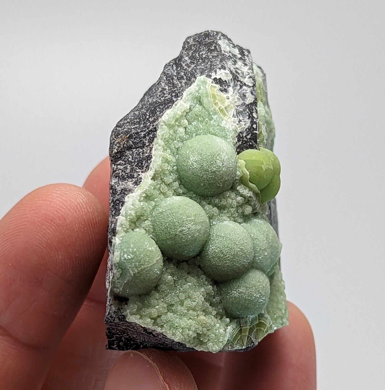 Wavellite - Fantastic 1990s Old Stock - Mauldin Mountain Arkansas - Collectibles:Rocks Fossils & Minerals:Crystals