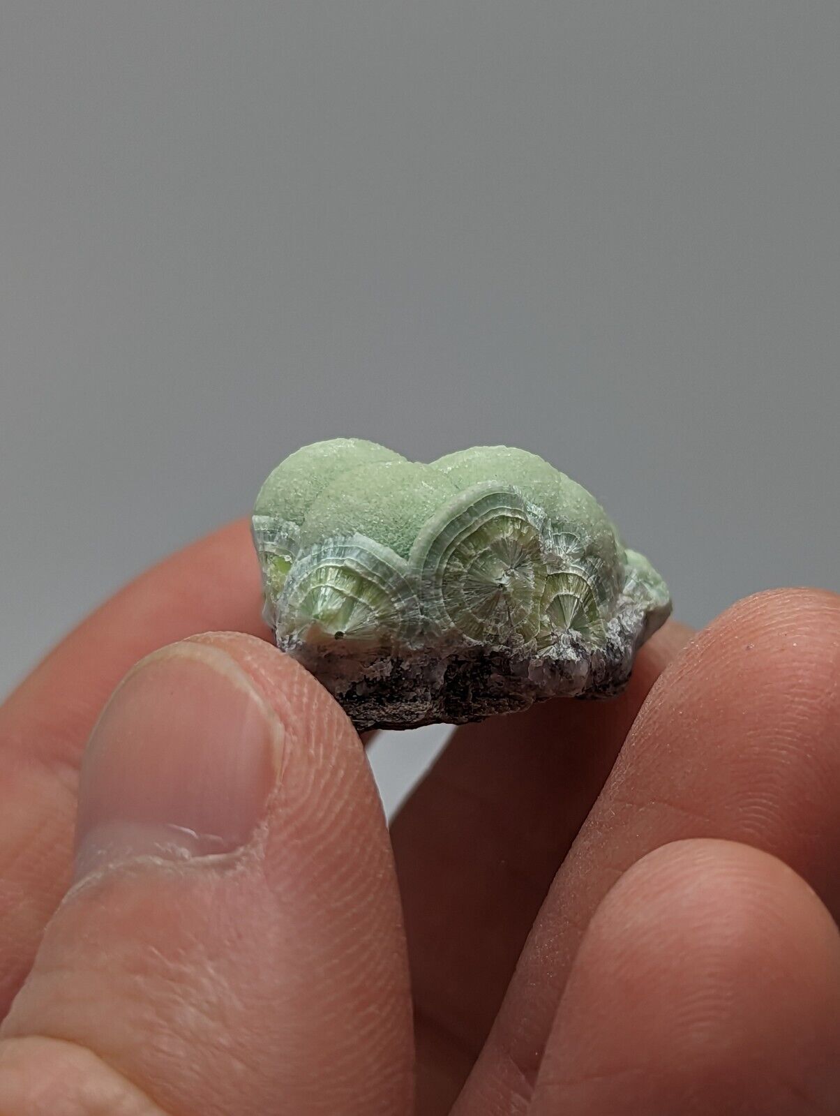 Wavellite - Fantastic 1990s Old Stock - Mauldin Mountain Arkansas - Collectibles:Rocks Fossils & Minerals:Crystals