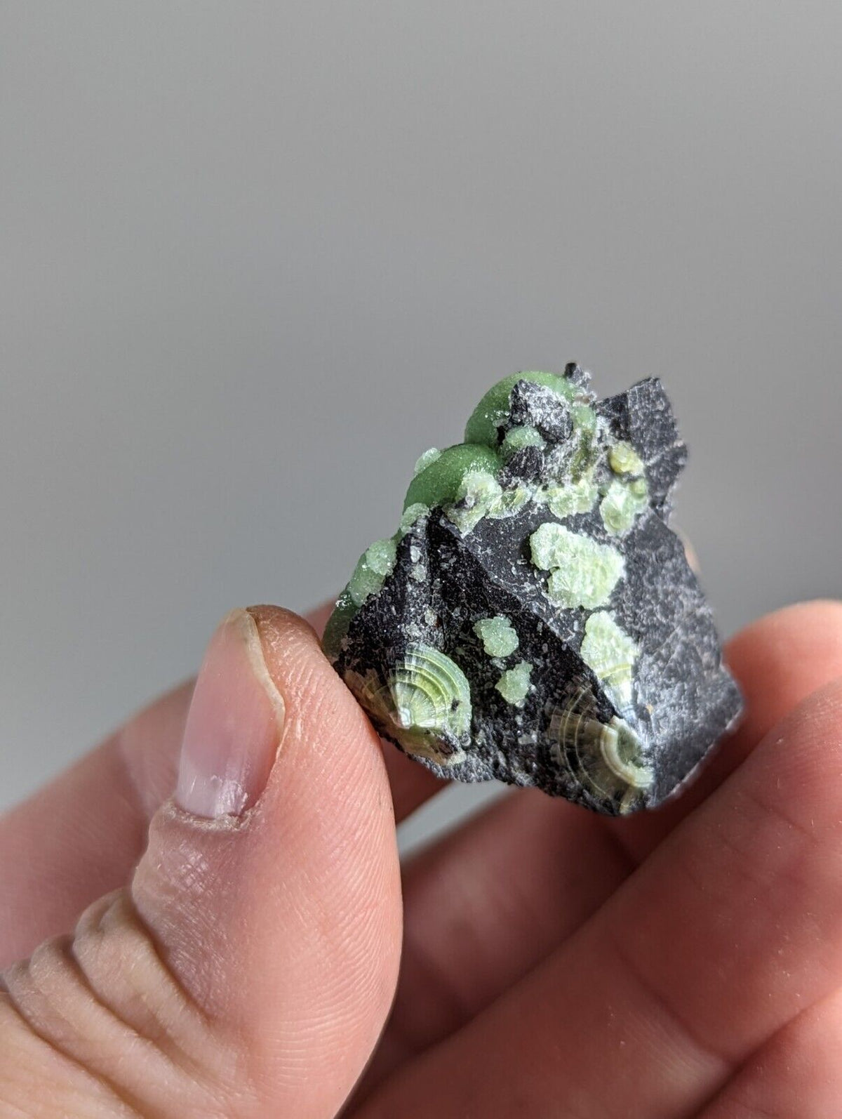 Wavellite - Fantastic 1990s Old Stock - Mauldin Mountain Arkansas - Collectibles:Rocks Fossils & Minerals:Crystals