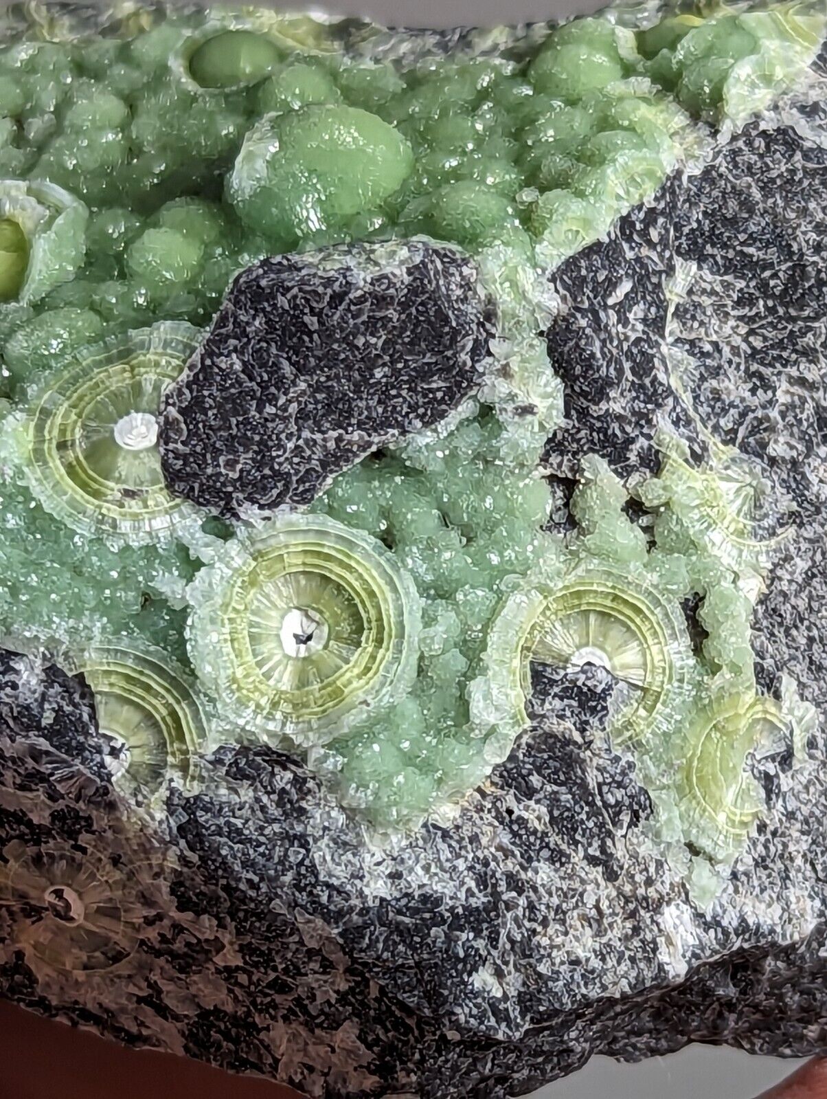 Wavellite - Fantastic 1990s Old Stock - Mauldin Mountain Arkansas - Collectibles:Rocks Fossils & Minerals:Crystals