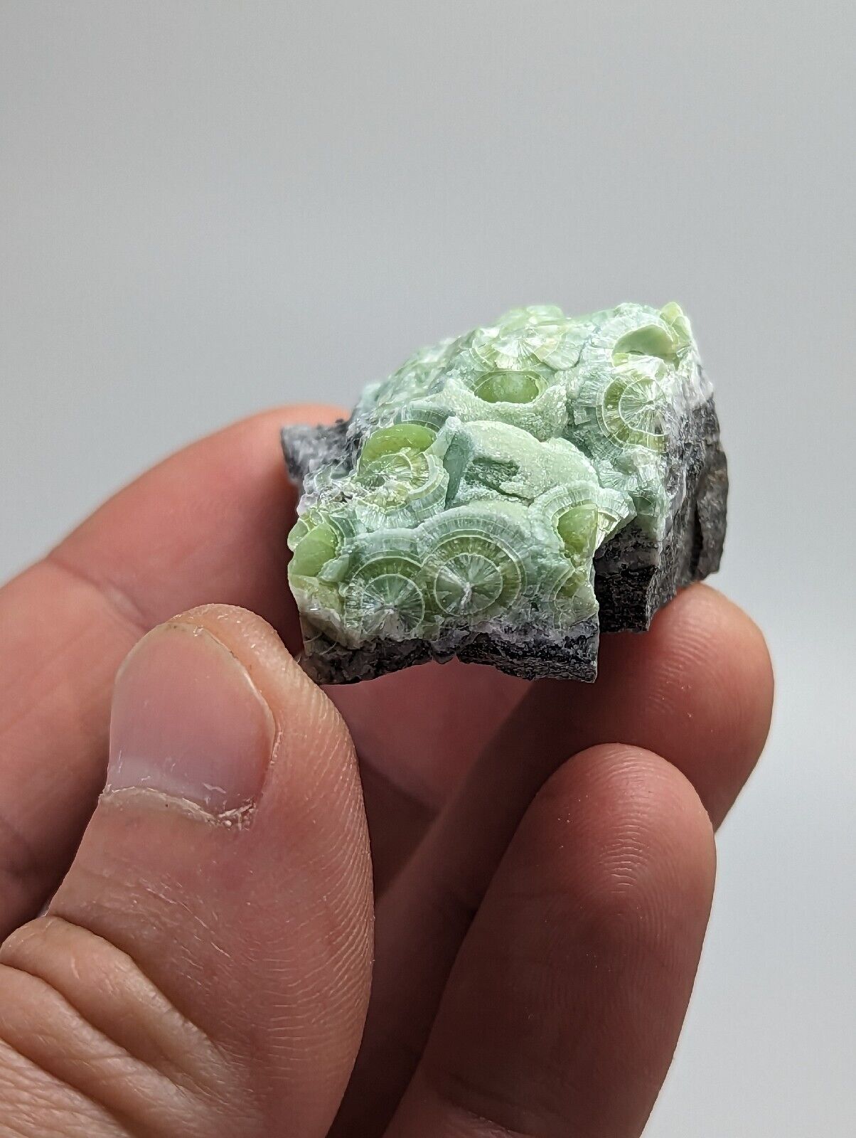 Wavellite - Fantastic 1990s Old Stock - Mauldin Mountain Arkansas - Collectibles:Rocks Fossils & Minerals:Crystals