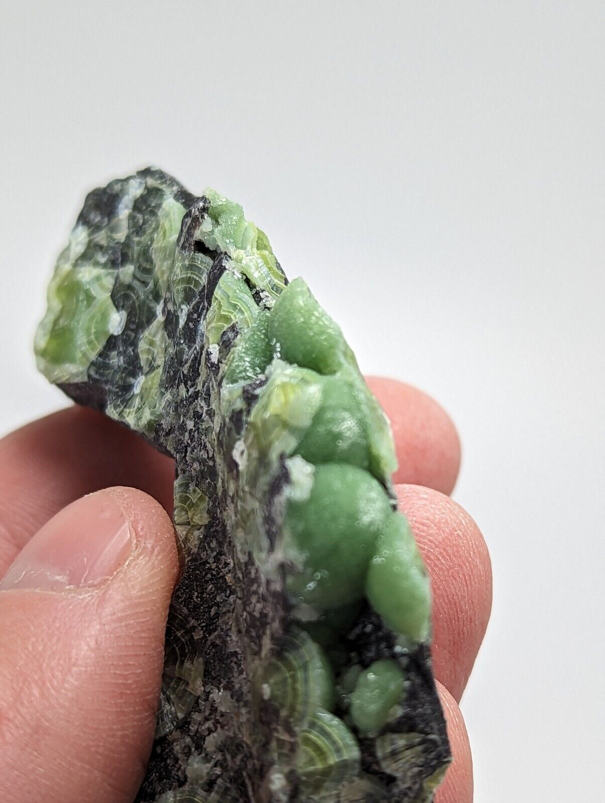 Wavellite - Fantastic 1990s Old Stock - Mauldin Mountain Arkansas - Collectibles:Rocks Fossils & Minerals:Crystals