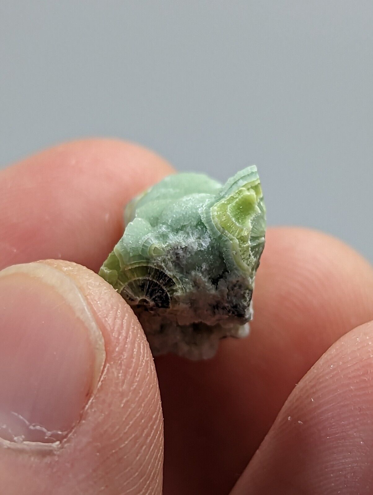 Wavellite - Fantastic 1990s Old Stock - Mauldin Mountain Arkansas - Collectibles:Rocks Fossils & Minerals:Crystals