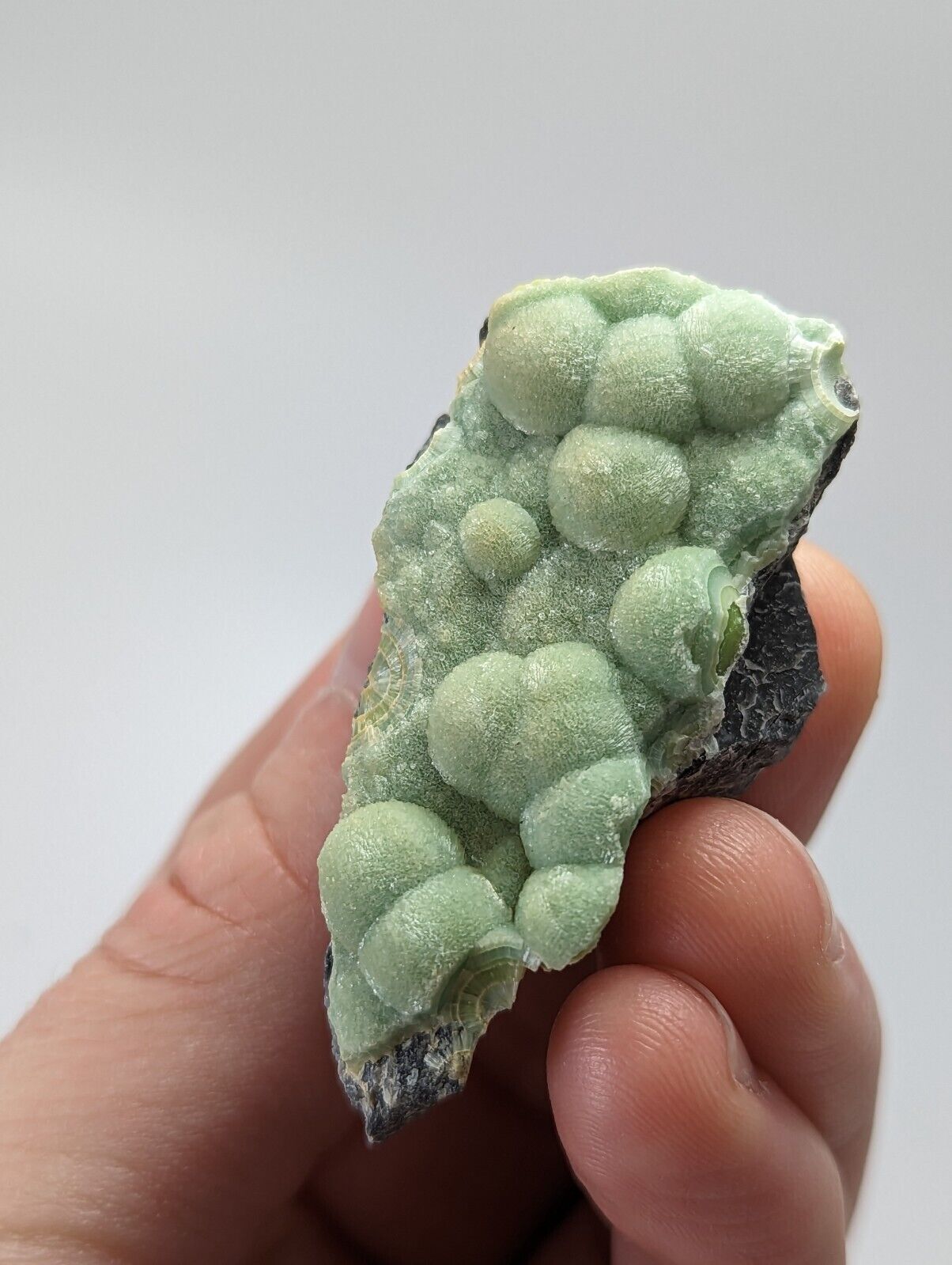 Wavellite - Fantastic 1990s Old Stock - Mauldin Mountain Arkansas - Collectibles:Rocks Fossils & Minerals:Crystals