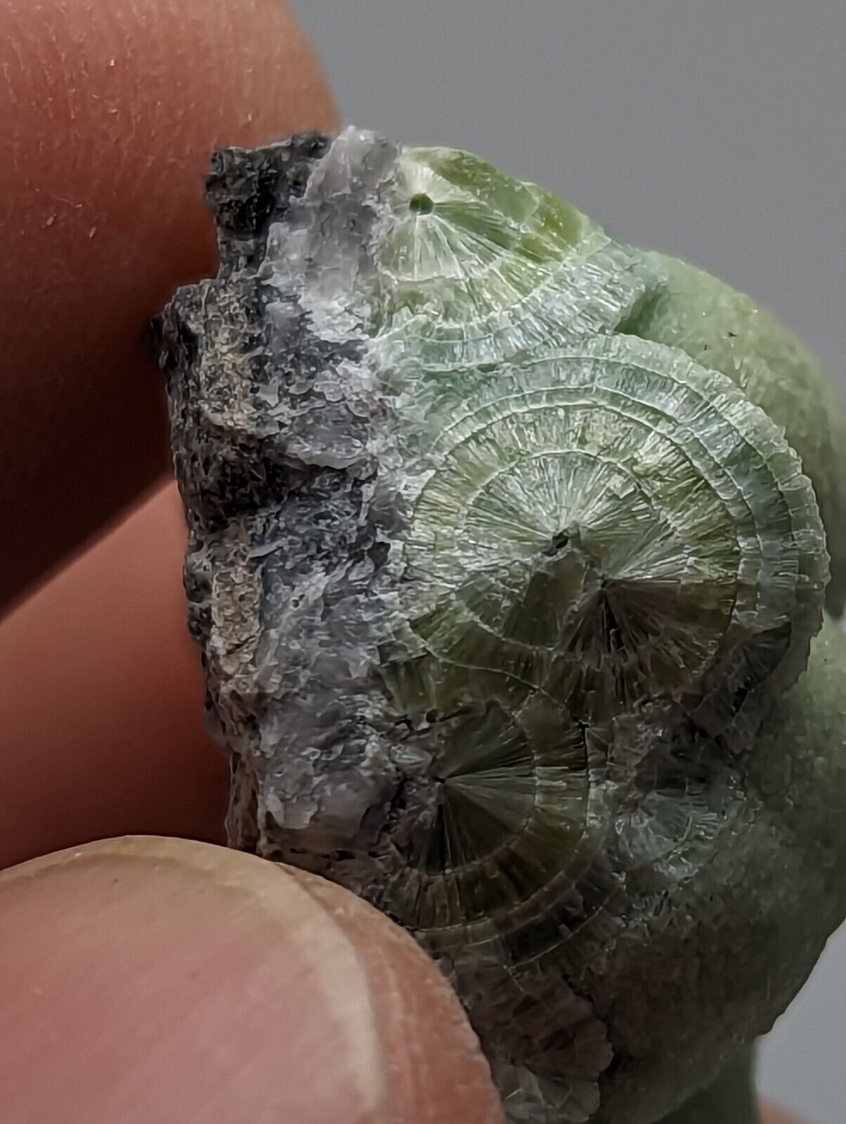 Wavellite - Fantastic 1990s Old Stock - Mauldin Mountain Arkansas - Collectibles:Rocks Fossils & Minerals:Crystals