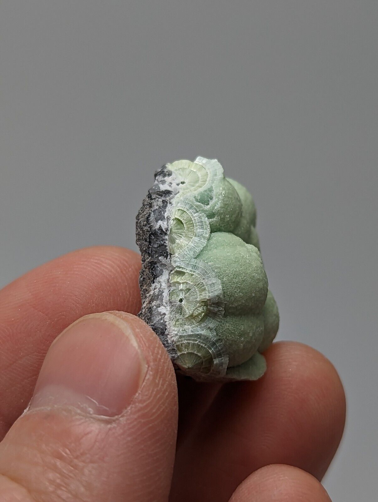 Wavellite - Fantastic 1990s Old Stock - Mauldin Mountain Arkansas - Collectibles:Rocks Fossils & Minerals:Crystals