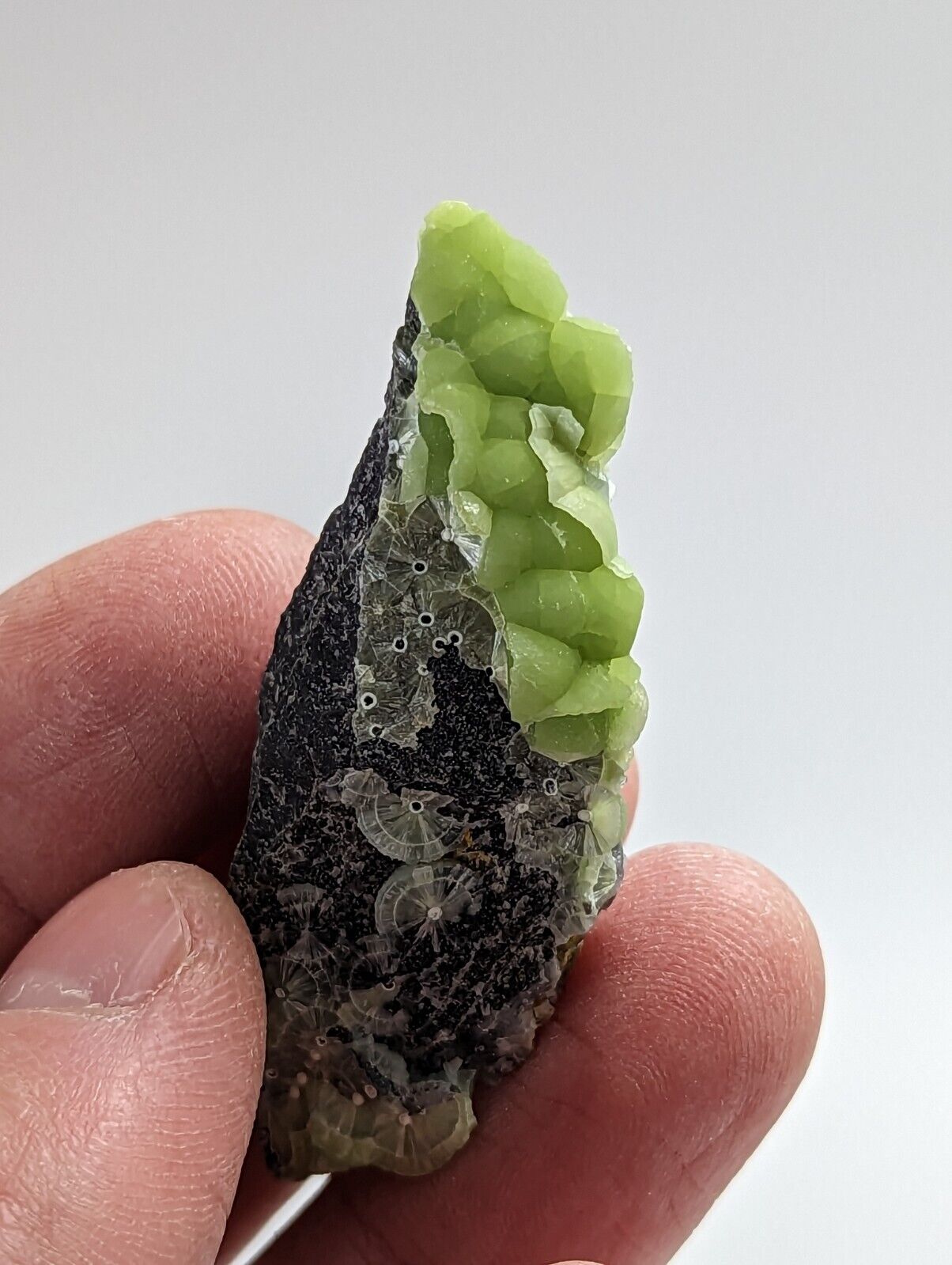 Wavellite - Fantastic 1990s Old Stock - Mauldin Mountain Arkansas - Collectibles:Rocks Fossils & Minerals:Crystals