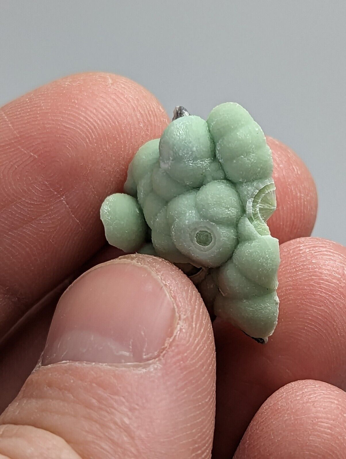 Wavellite - Fantastic 1990s Old Stock - Mauldin Mountain Arkansas - Collectibles:Rocks Fossils & Minerals:Crystals