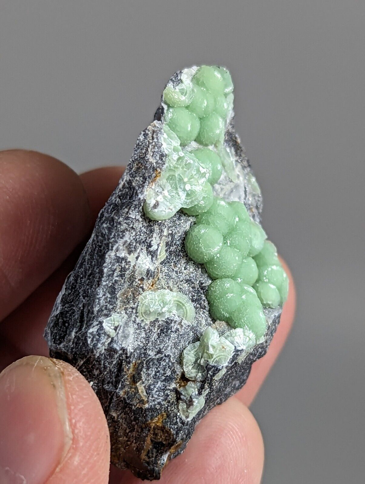 Wavellite - Fantastic 1990s Old Stock - Mauldin Mountain Arkansas - Collectibles:Rocks Fossils & Minerals:Crystals