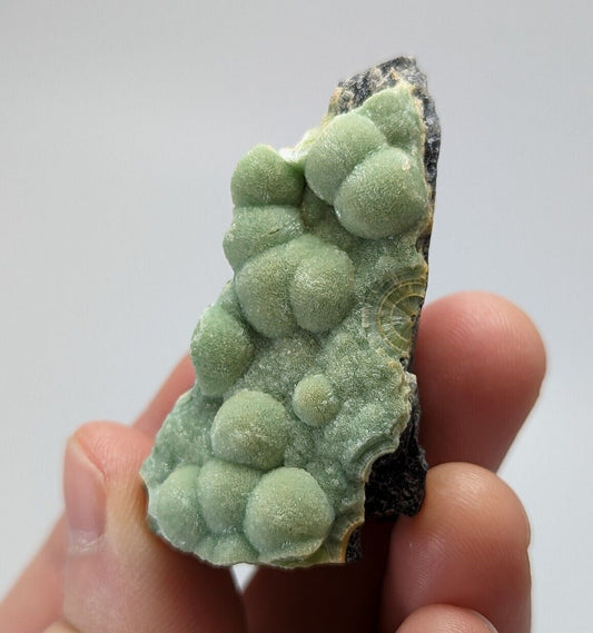 Wavellite - Fantastic 1990s Old Stock - Mauldin Mountain Arkansas - Collectibles:Rocks Fossils & Minerals:Crystals