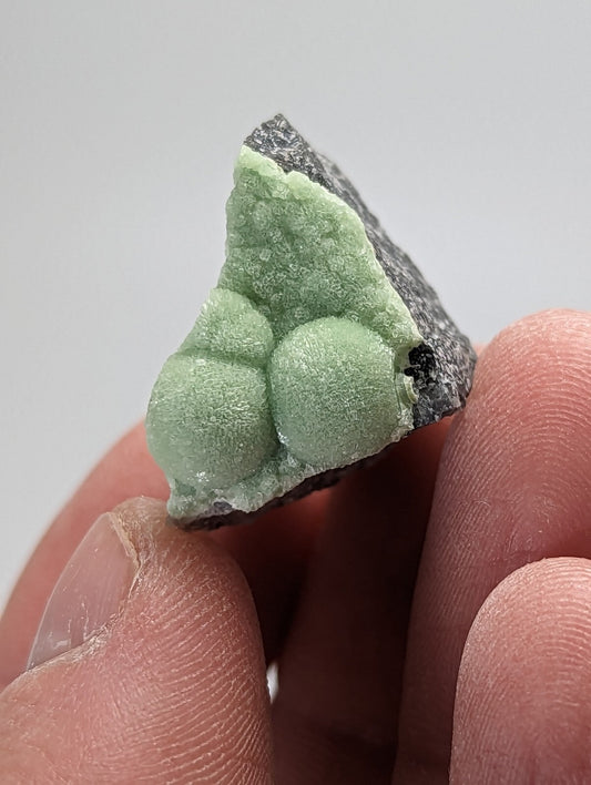 A light green, textured mineral specimen with rounded nodules set against a dark gray rock matrix.