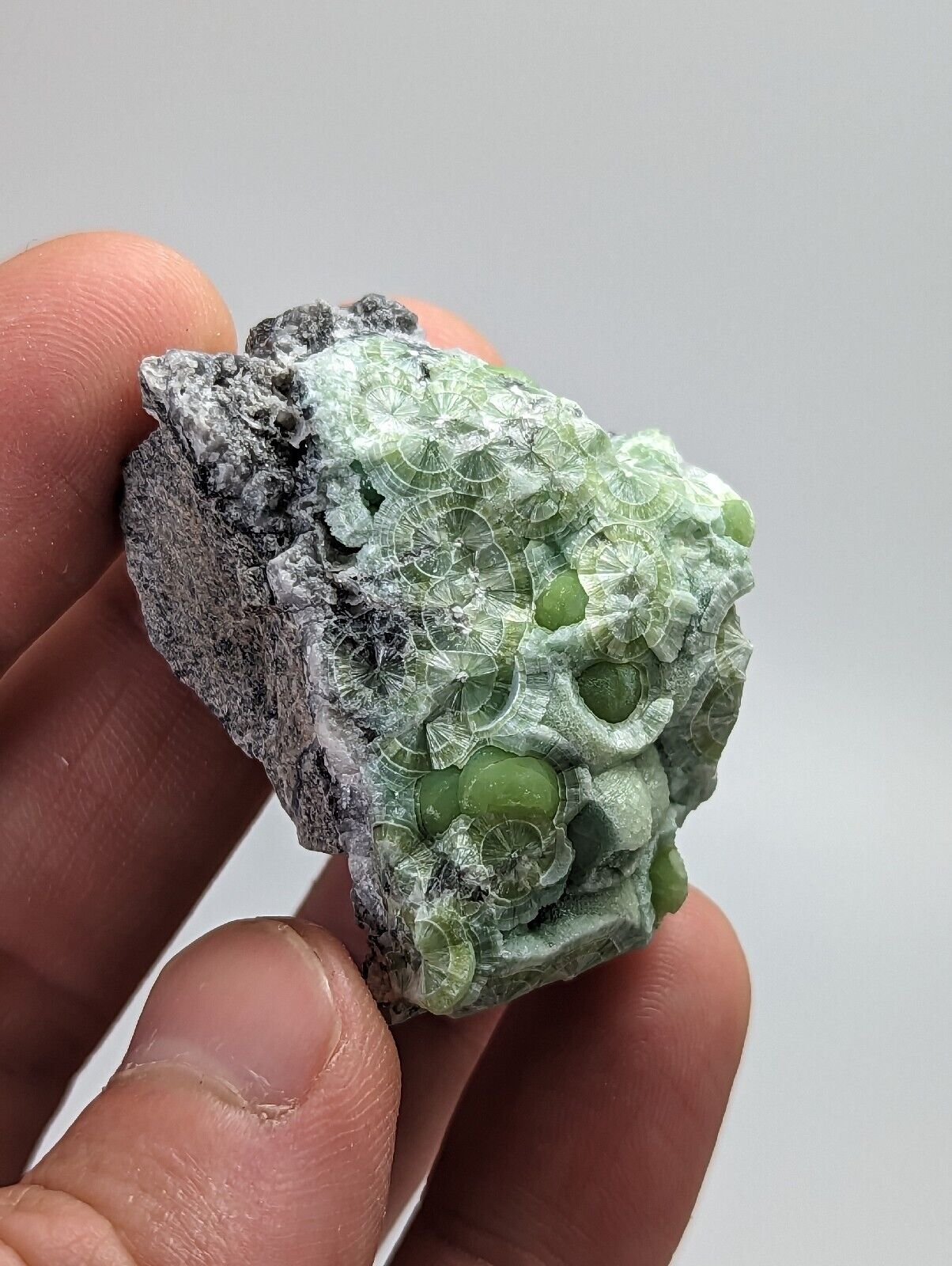 Wavellite - Fantastic 1990s Old Stock - Mauldin Mountain Arkansas - Collectibles:Rocks Fossils & Minerals:Crystals