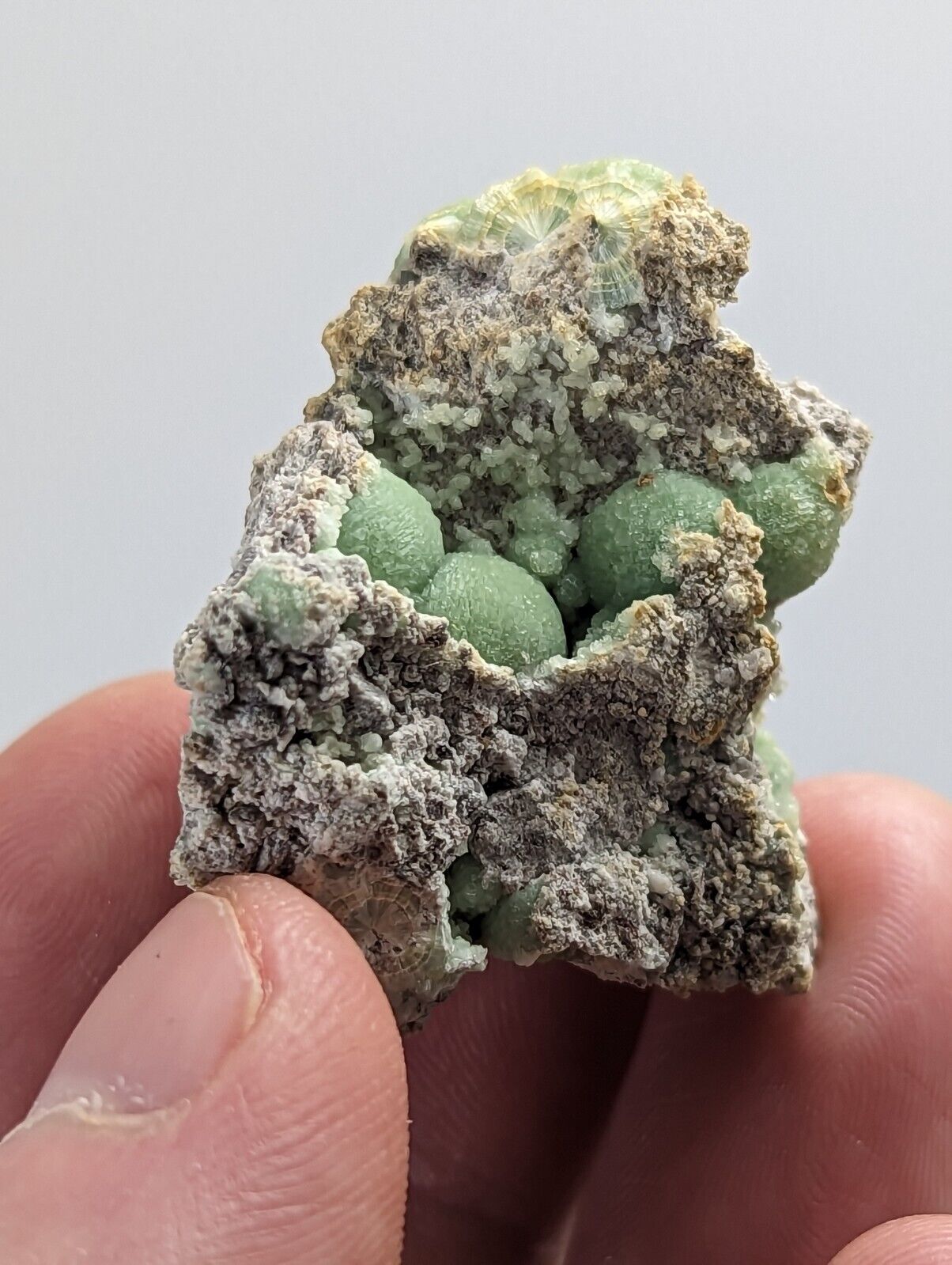 Wavellite -Fantastic 1990s Old Stock- Mauldin Mountain Arkansas montgomery co. - Collectibles:Rocks Fossils &