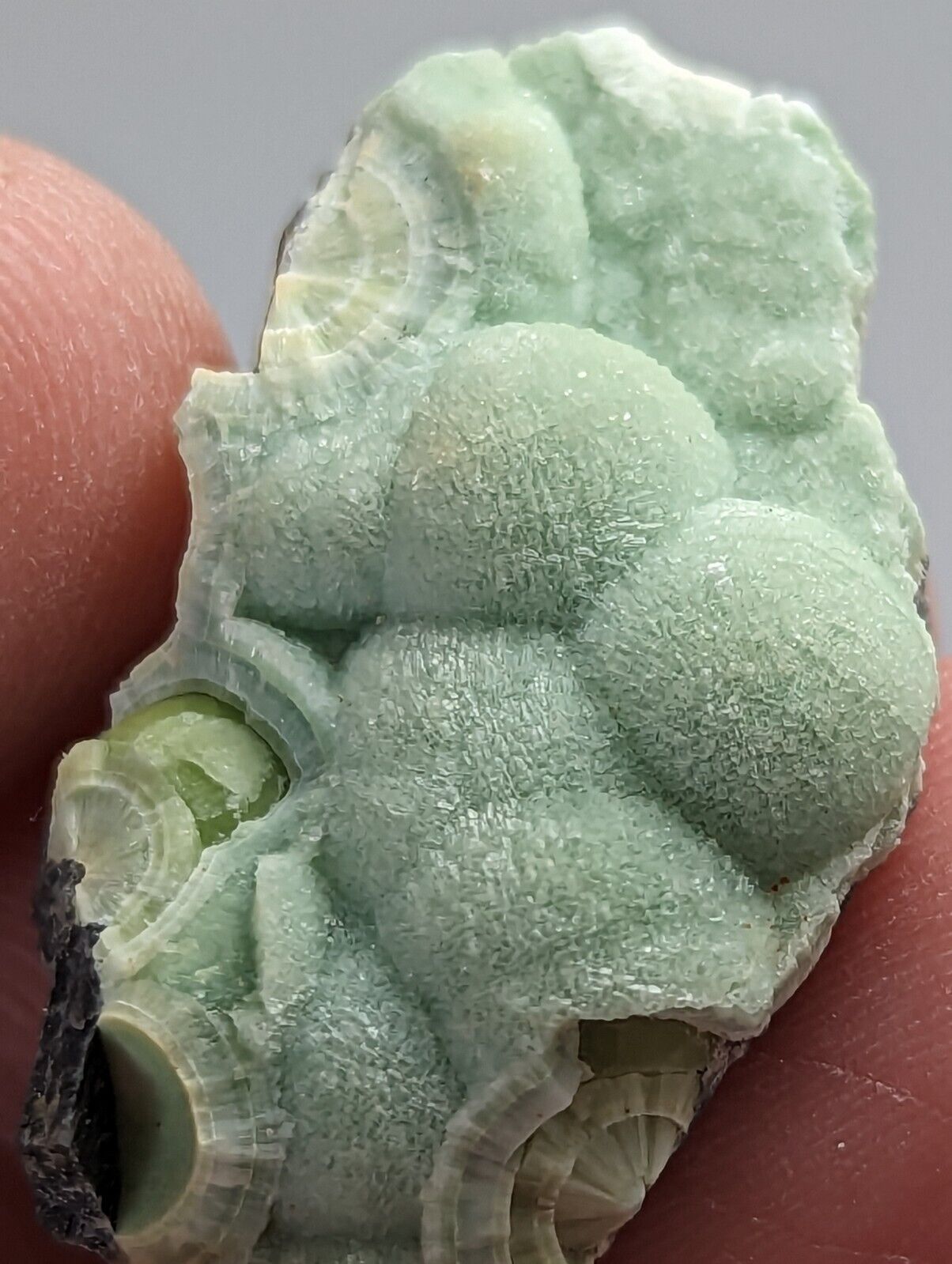 Wavellite - Fantastic 1990s Old Stock - Mauldin Mountain Arkansas - Collectibles:Rocks Fossils & Minerals:Crystals
