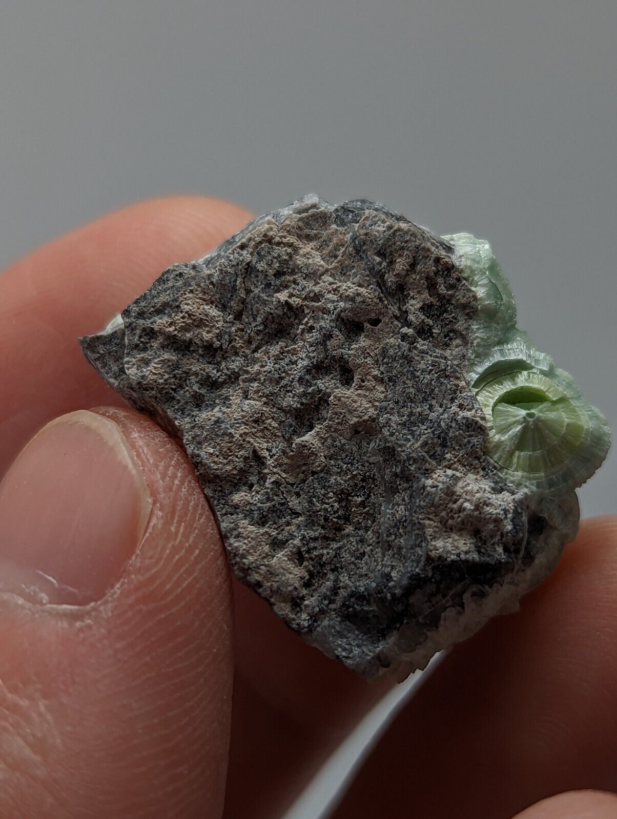Wavellite - Fantastic 1990s Old Stock - Mauldin Mountain Arkansas - Collectibles:Rocks Fossils & Minerals:Crystals