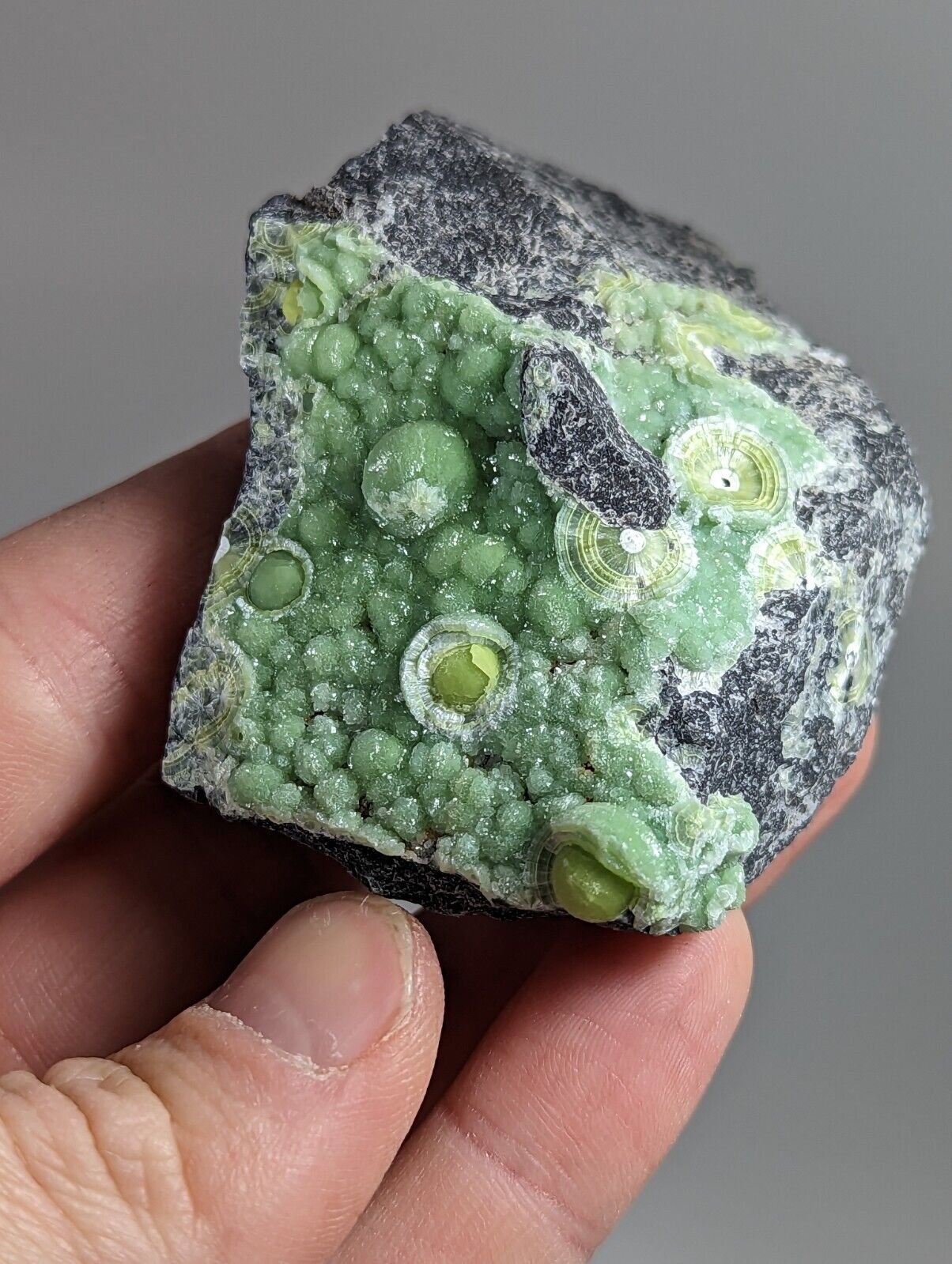 Wavellite - Fantastic 1990s Old Stock - Mauldin Mountain Arkansas - Collectibles:Rocks Fossils & Minerals:Crystals