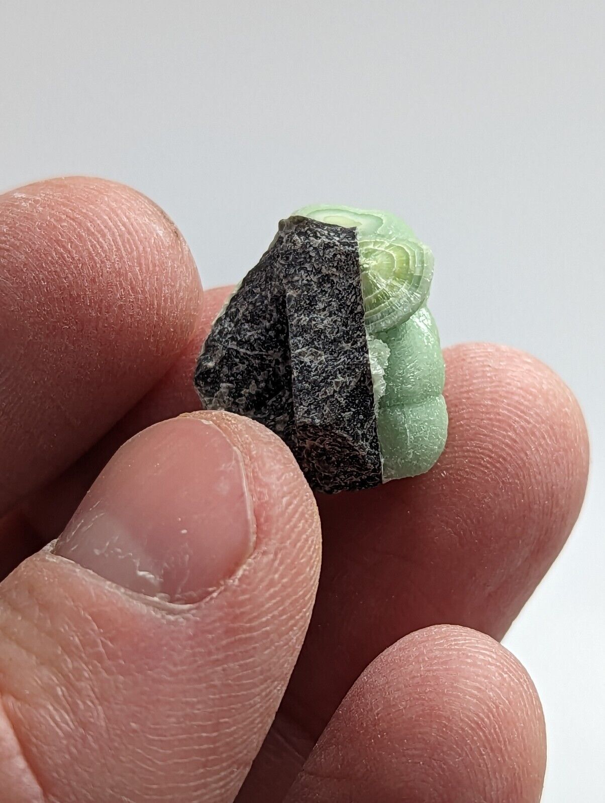 Wavellite - Fantastic 1990s Old Stock - Mauldin Mountain Arkansas - Collectibles:Rocks Fossils & Minerals:Crystals