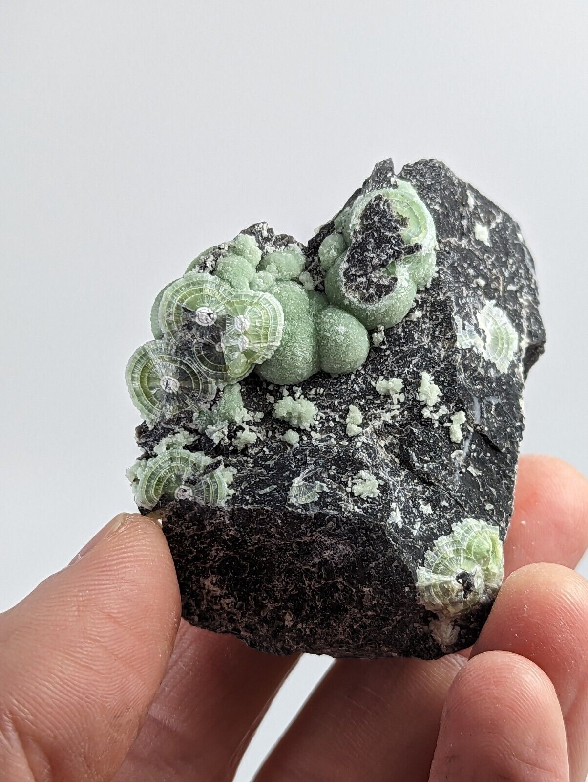 Wavellite - Fantastic 1990s Old Stock - Mauldin Mountain Arkansas - Collectibles:Rocks Fossils & Minerals:Crystals