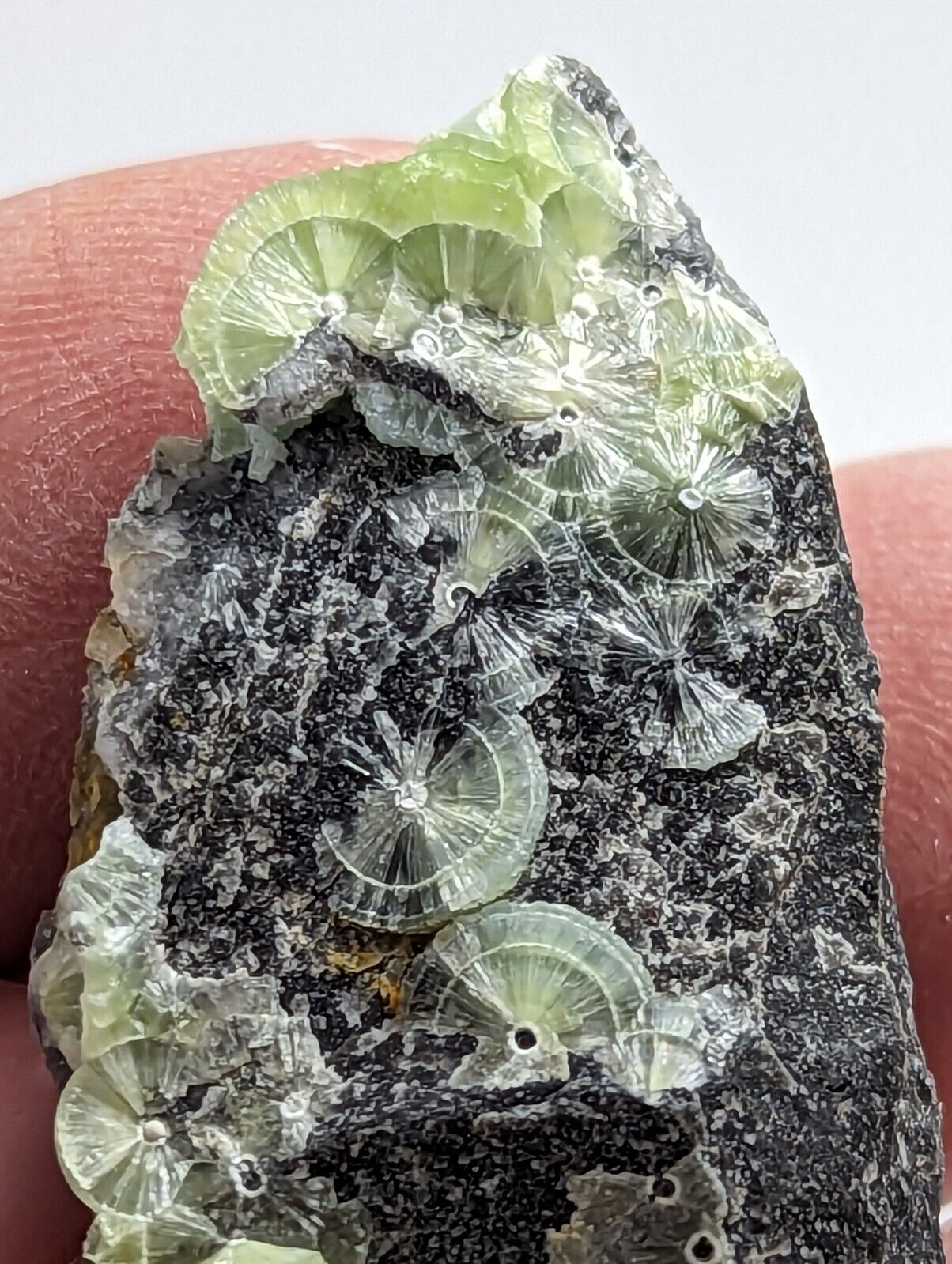 Wavellite - Fantastic 1990s Old Stock - Mauldin Mountain Arkansas - Collectibles:Rocks Fossils & Minerals:Crystals