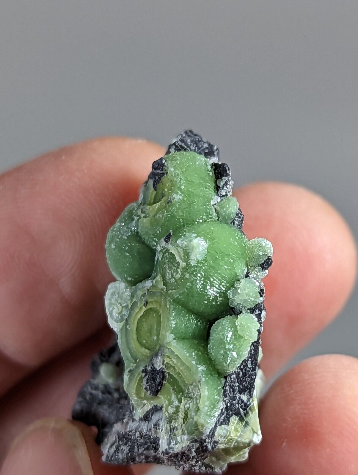 Wavellite - Fantastic 1990s Old Stock - Mauldin Mountain Arkansas - Collectibles:Rocks Fossils & Minerals:Crystals