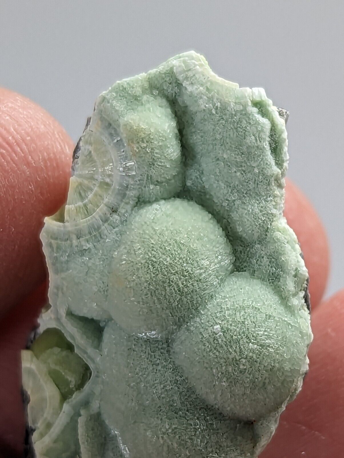 Wavellite - Fantastic 1990s Old Stock - Mauldin Mountain Arkansas - Collectibles:Rocks Fossils & Minerals:Crystals