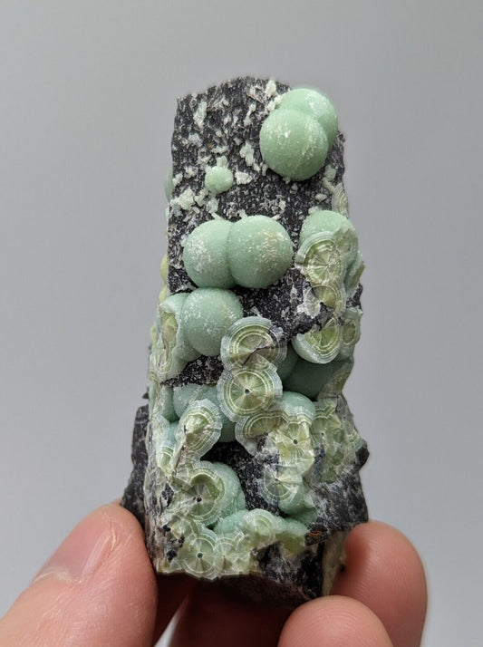 Wavellite - Fantastic 1990s Old Stock - Mauldin Mountain Arkansas - Collectibles:Rocks Fossils & Minerals:Crystals