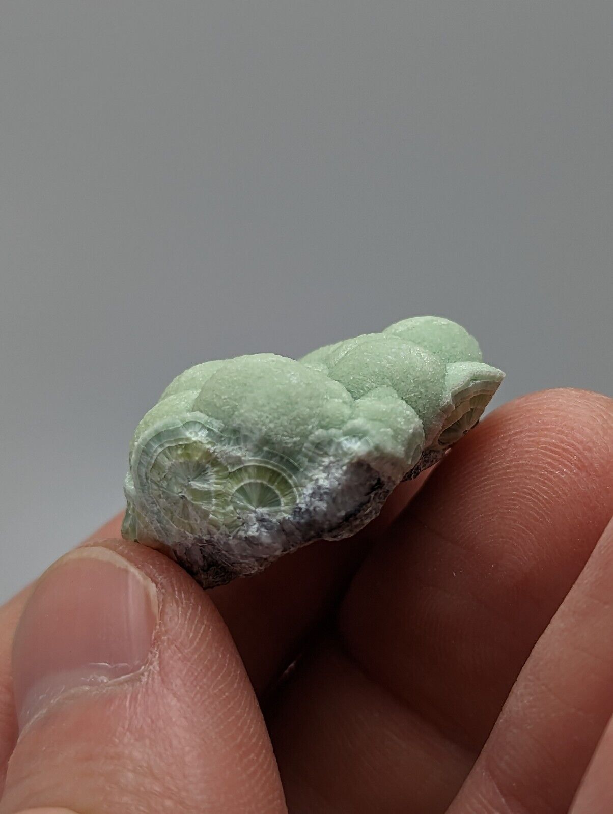 Wavellite - Fantastic 1990s Old Stock - Mauldin Mountain Arkansas - Collectibles:Rocks Fossils & Minerals:Crystals