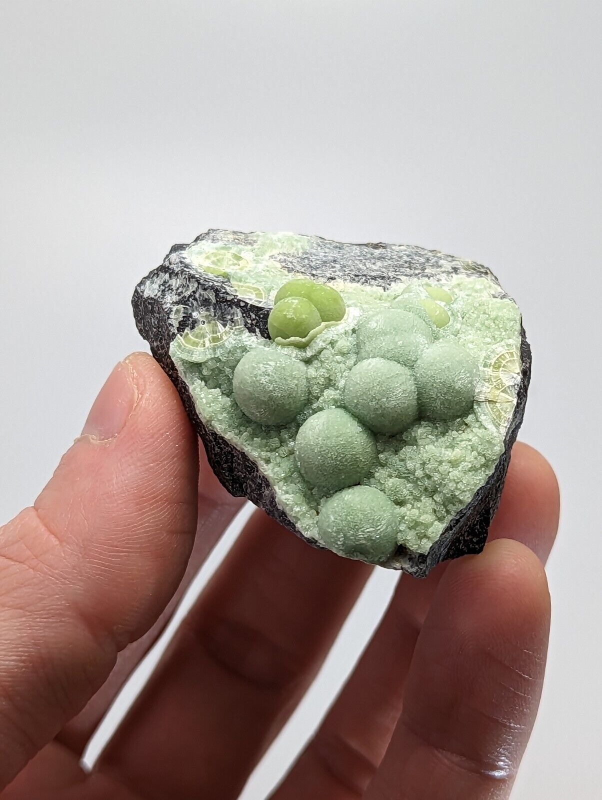 Wavellite - Fantastic 1990s Old Stock - Mauldin Mountain Arkansas - Collectibles:Rocks Fossils & Minerals:Crystals