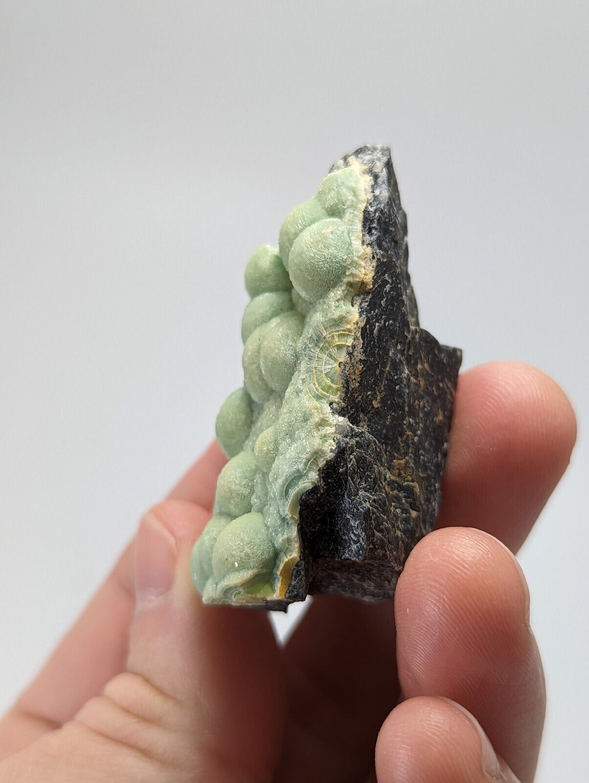 Wavellite - Fantastic 1990s Old Stock - Mauldin Mountain Arkansas - Collectibles:Rocks Fossils & Minerals:Crystals