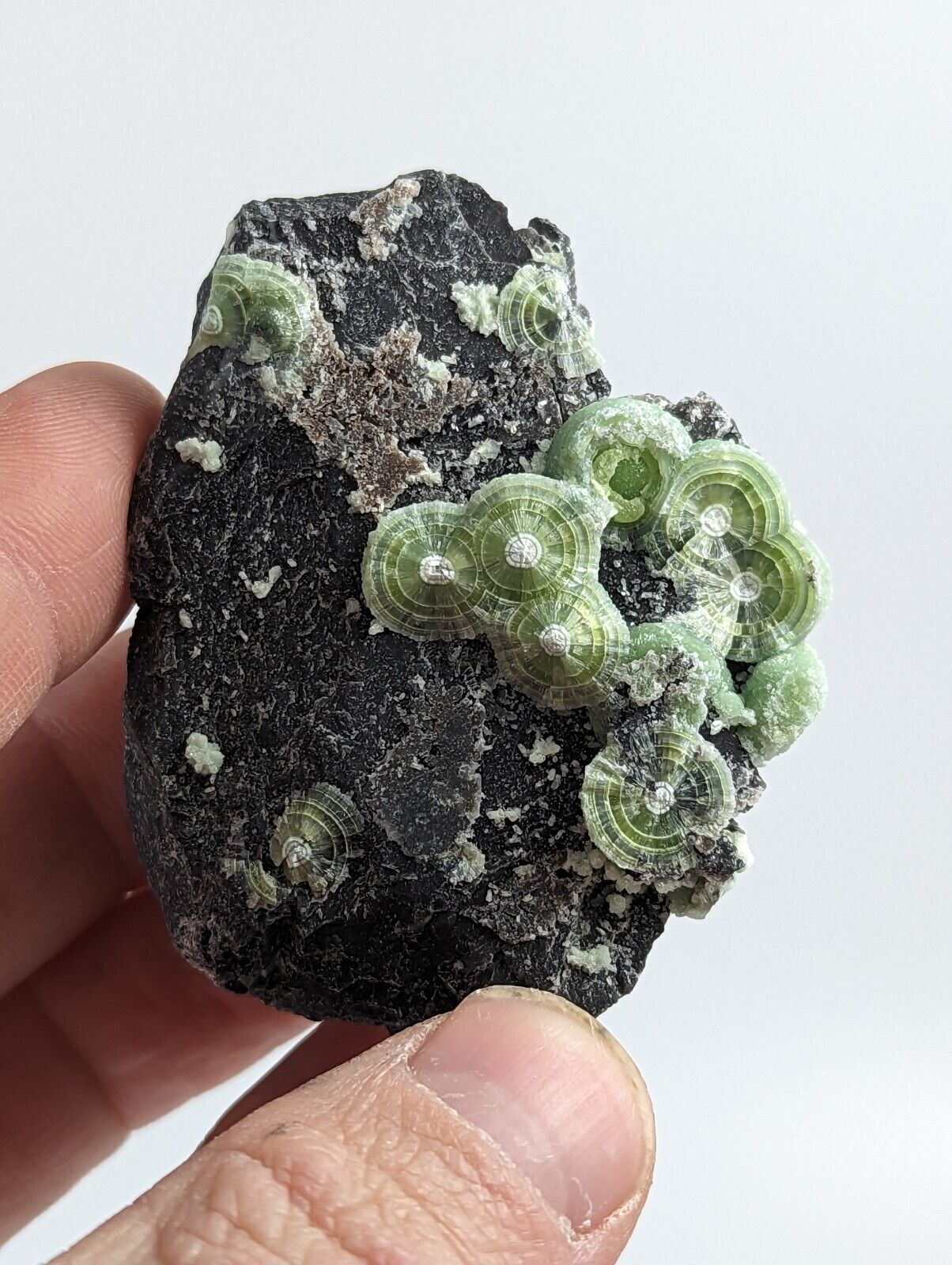 Wavellite - Fantastic 1990s Old Stock - Mauldin Mountain Arkansas - Collectibles:Rocks Fossils & Minerals:Crystals