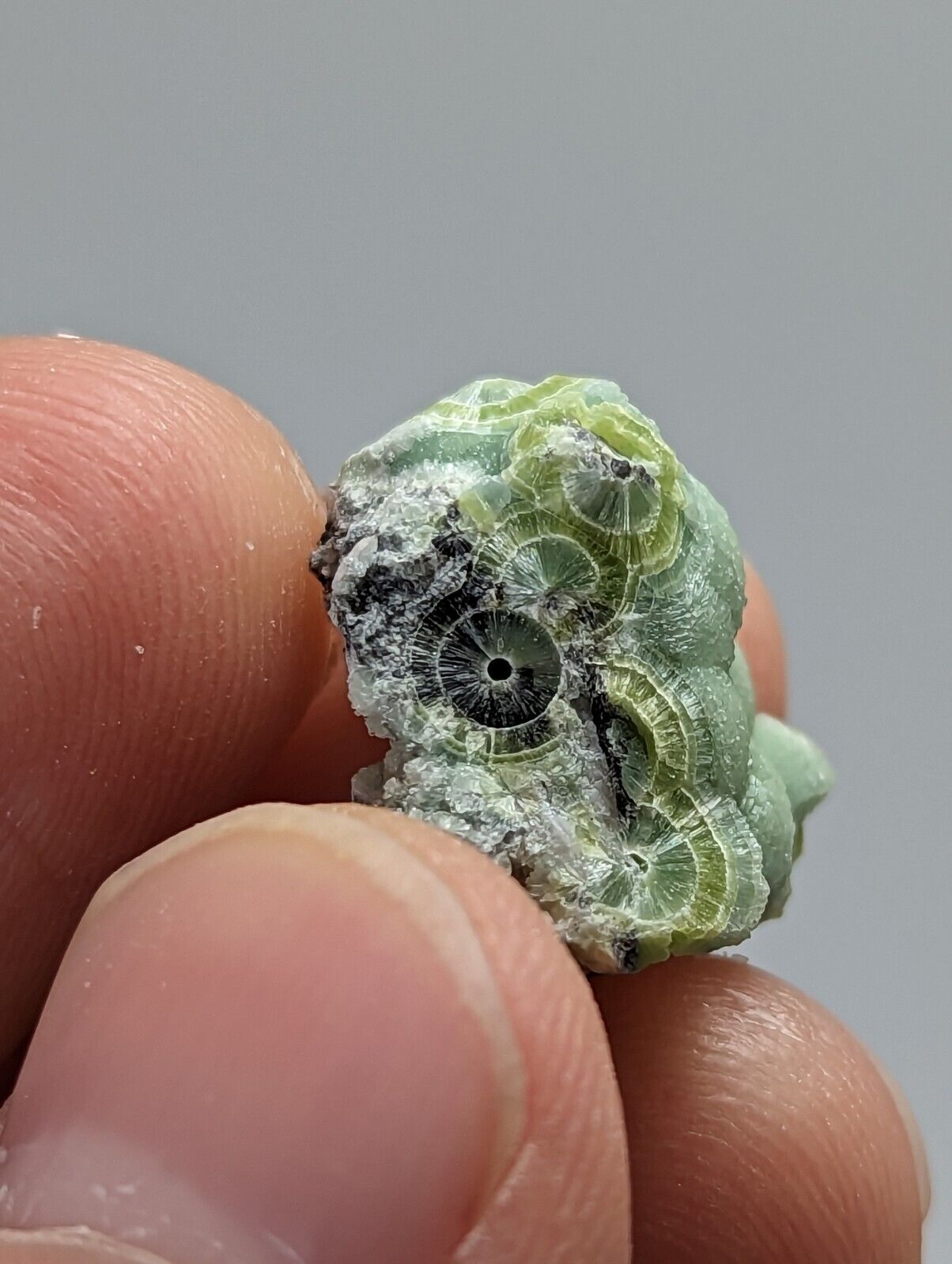 Wavellite - Fantastic 1990s Old Stock - Mauldin Mountain Arkansas - Collectibles:Rocks Fossils & Minerals:Crystals